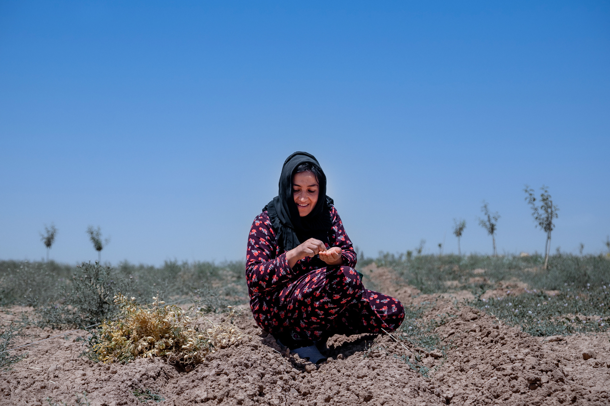 AGA KHAN FOUNDATION (Integrated Health and Habitat Improvement in Rasht Valley). Коммерческий фотограф в г. Душанбе, Орзу Собиров
