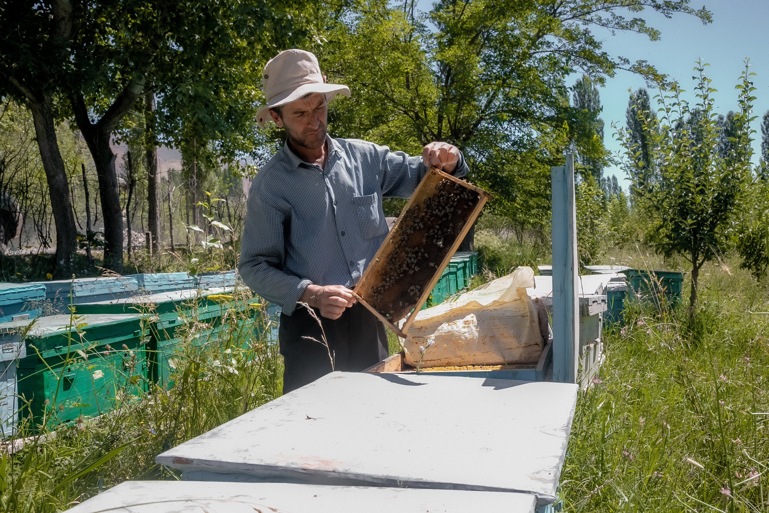 AGA KHAN FOUNDATION (Integrated Health and Habitat Improvement in Rasht Valley). Коммерческий фотограф в г. Душанбе, Орзу Собиров