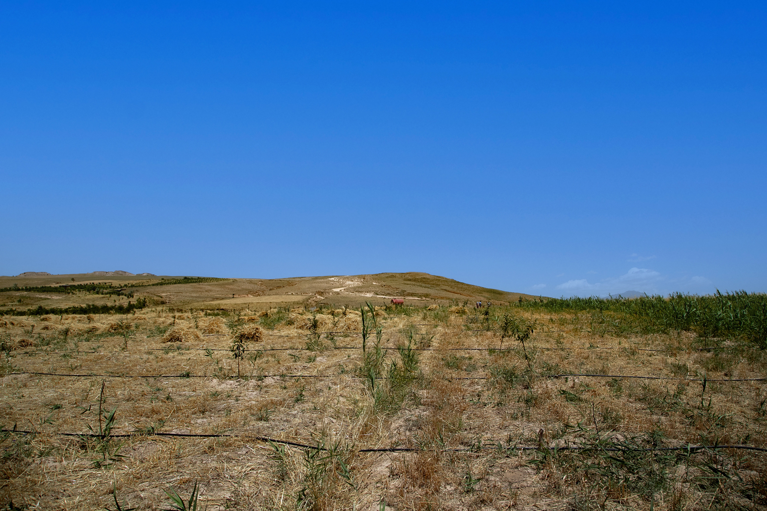 AGA KHAN FOUNDATION (Integrated Health and Habitat Improvement in Rasht Valley). Коммерческий фотограф в г. Душанбе, Орзу Собиров