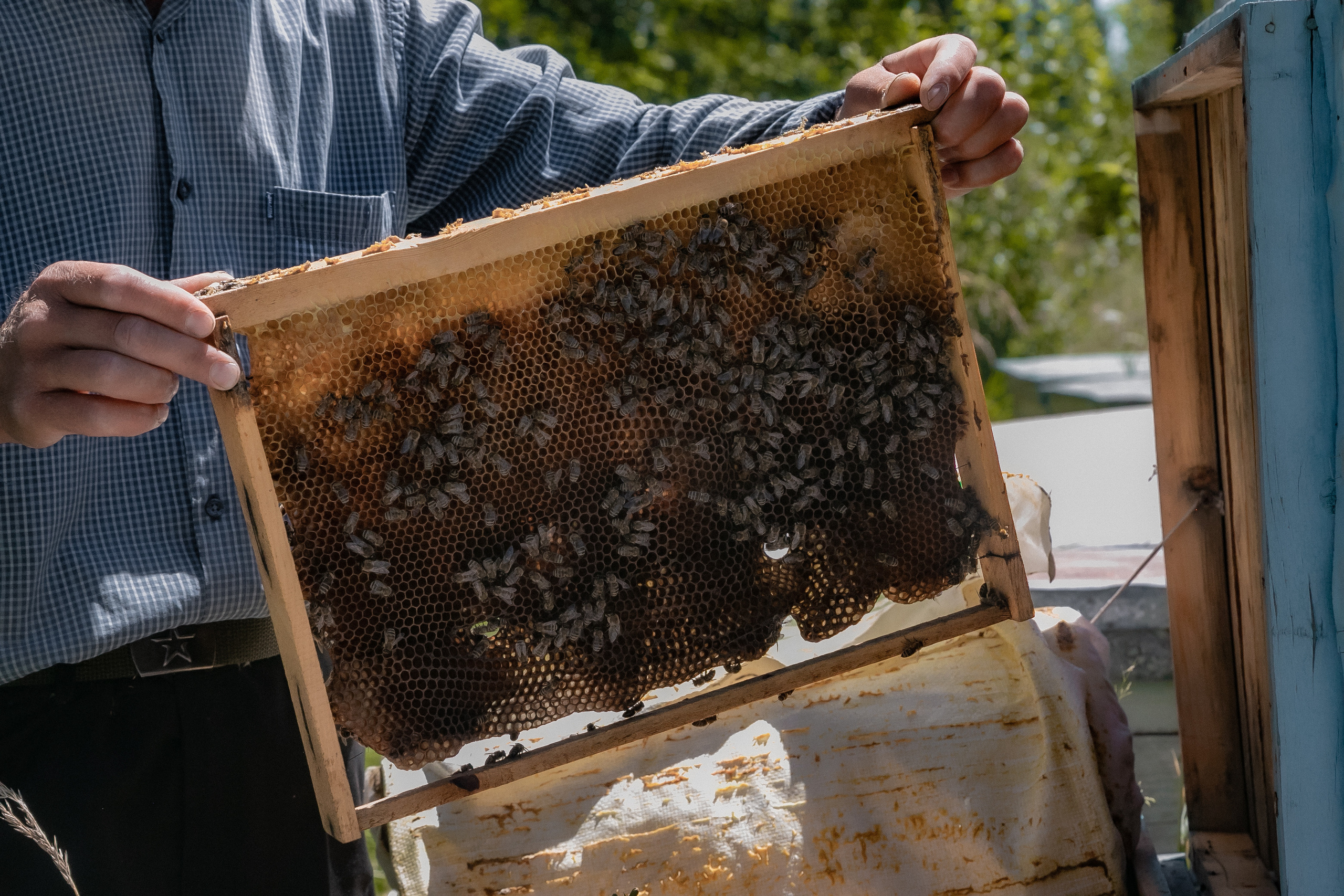 AGA KHAN FOUNDATION (Integrated Health and Habitat Improvement in Rasht Valley). Коммерческий фотограф в г. Душанбе, Орзу Собиров