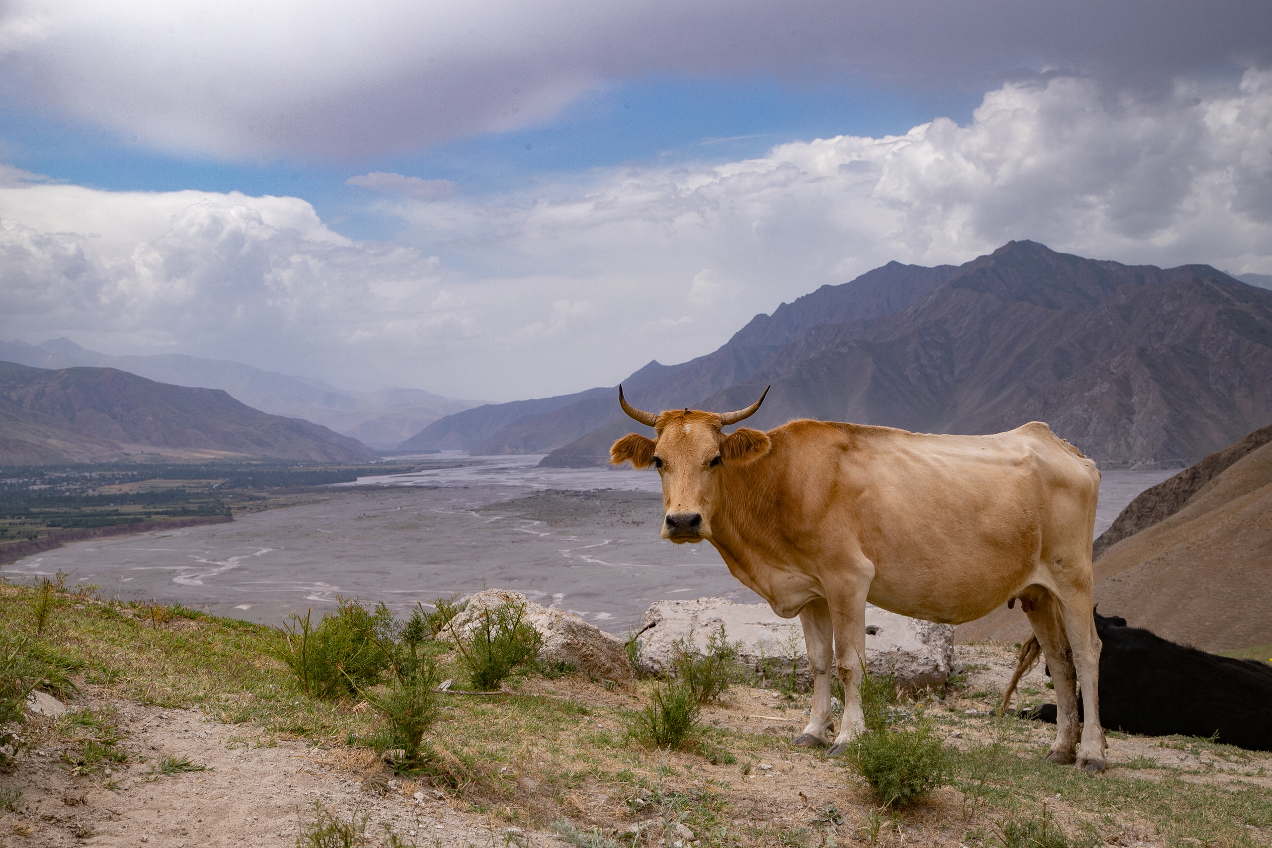 AGA KHAN FOUNDATION (Integrated Health and Habitat Improvement in Rasht Valley). Коммерческий фотограф в г. Душанбе, Орзу Собиров