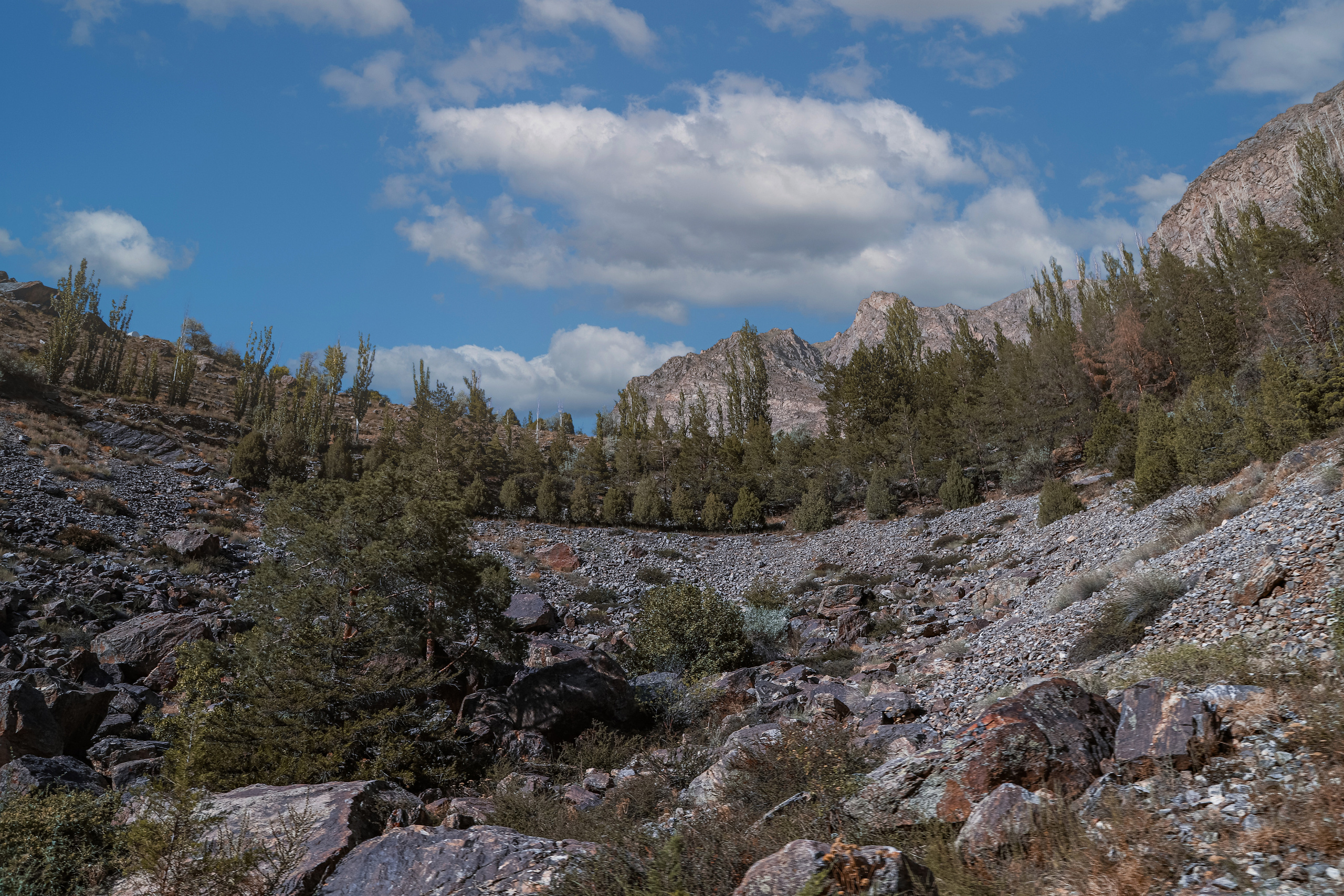 Природа. Коммерческий фотограф в г. Душанбе, Орзу Собиров