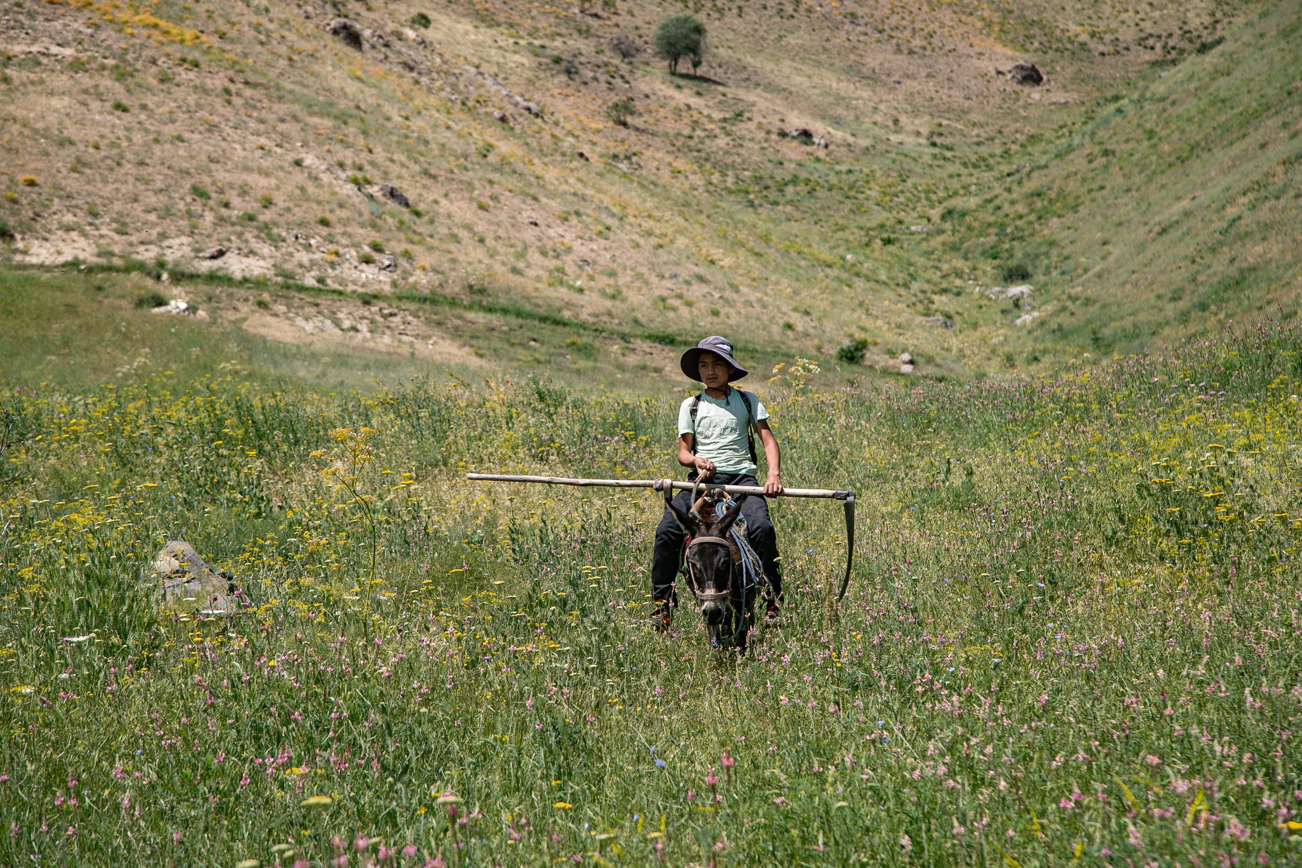 AGA KHAN FOUNDATION (Integrated Health and Habitat Improvement in Rasht Valley). Коммерческий фотограф в г. Душанбе, Орзу Собиров