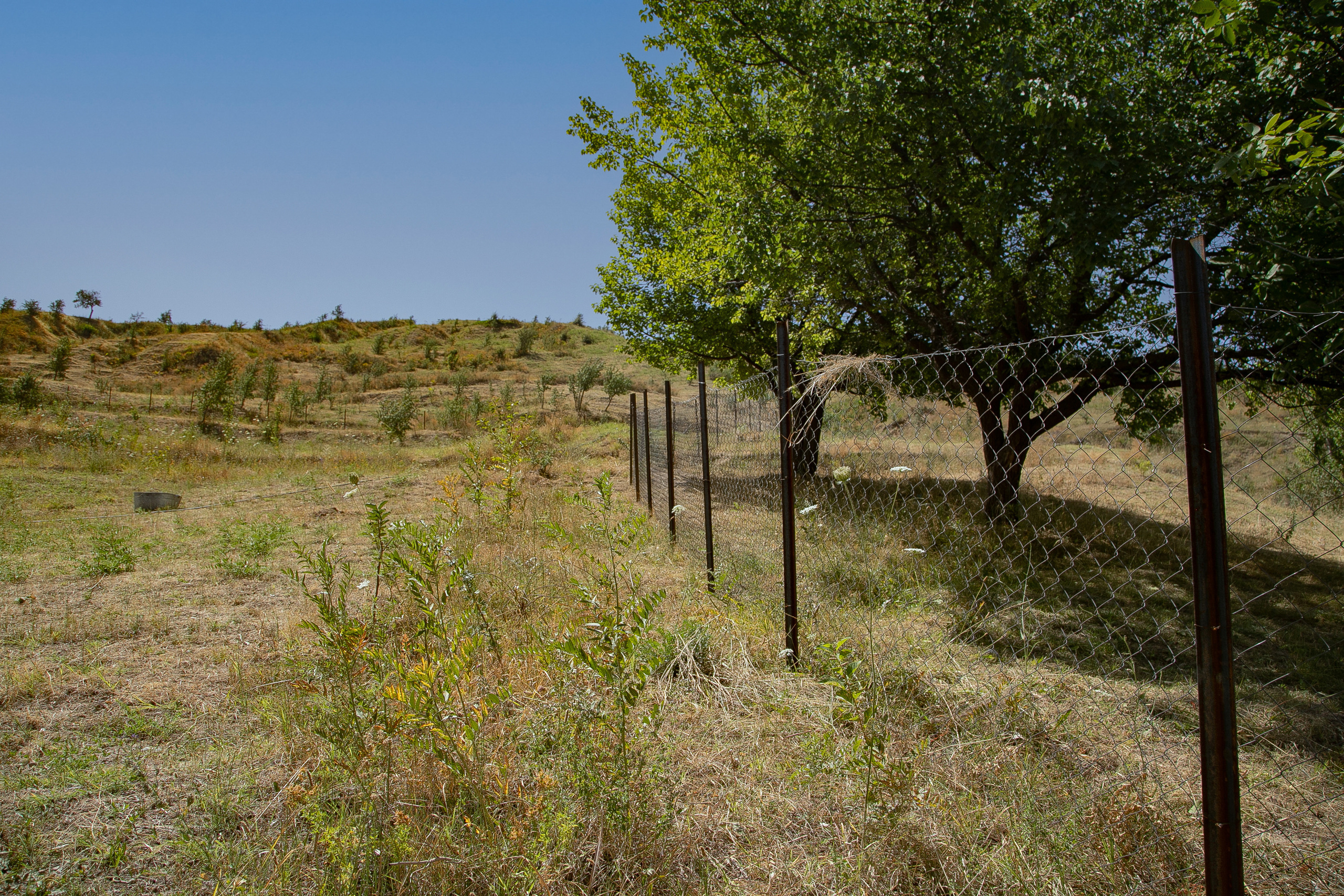 AGA KHAN FOUNDATION (Integrated Health and Habitat Improvement in Rasht Valley). Коммерческий фотограф в г. Душанбе, Орзу Собиров