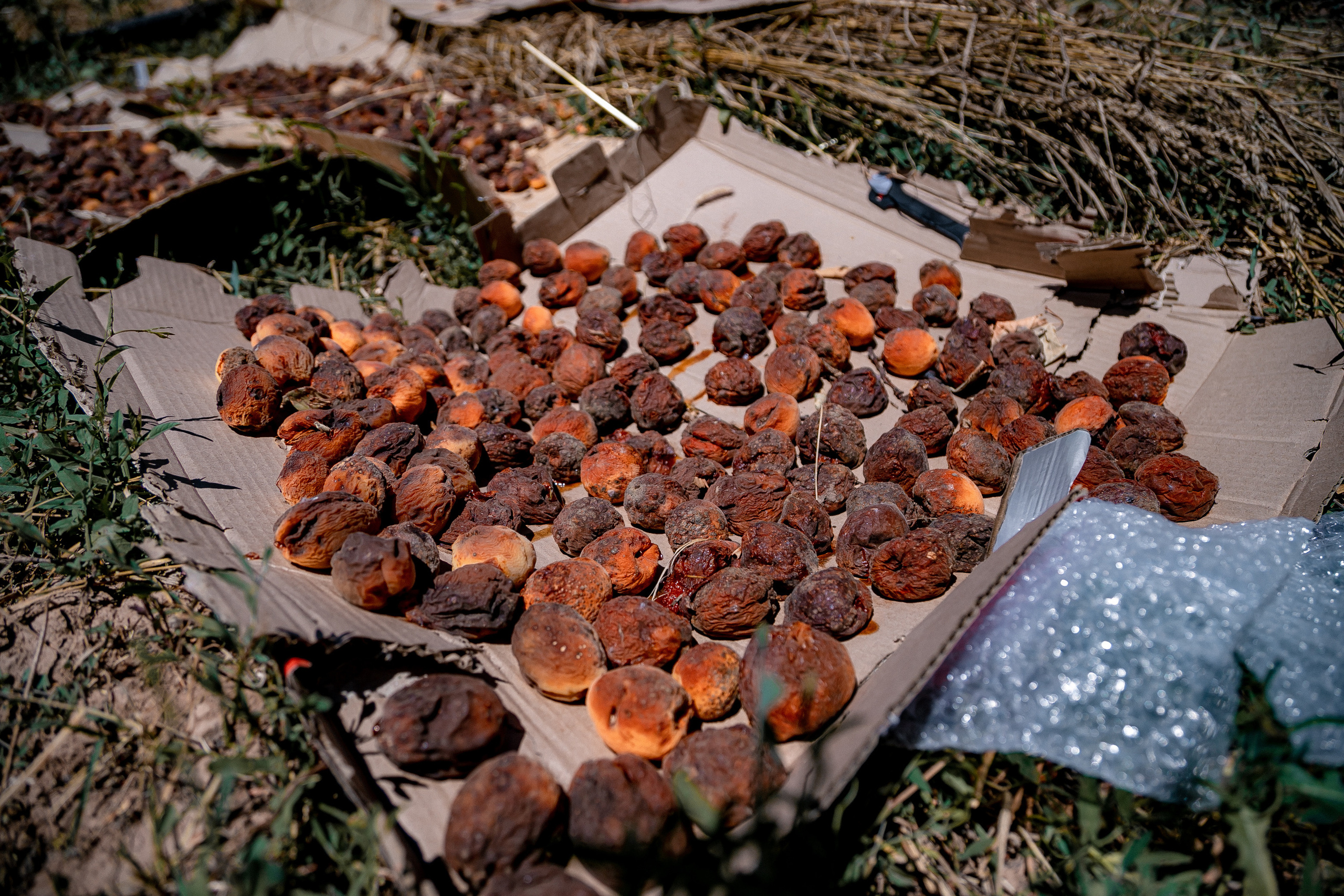 AGA KHAN FOUNDATION (Integrated Health and Habitat Improvement in Rasht Valley). Коммерческий фотограф в г. Душанбе, Орзу Собиров