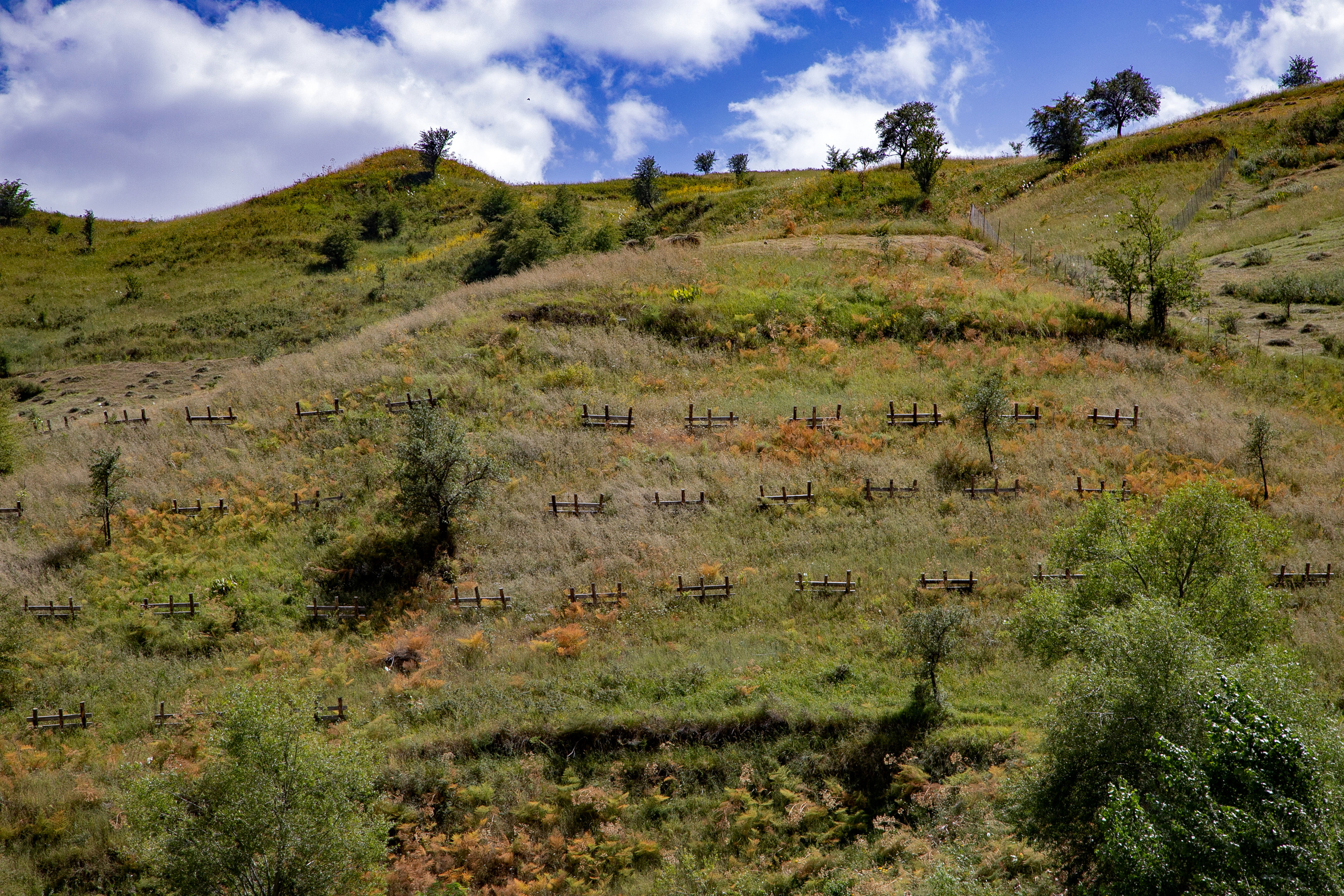 AGA KHAN FOUNDATION (Integrated Health and Habitat Improvement in Rasht Valley). Коммерческий фотограф в г. Душанбе, Орзу Собиров