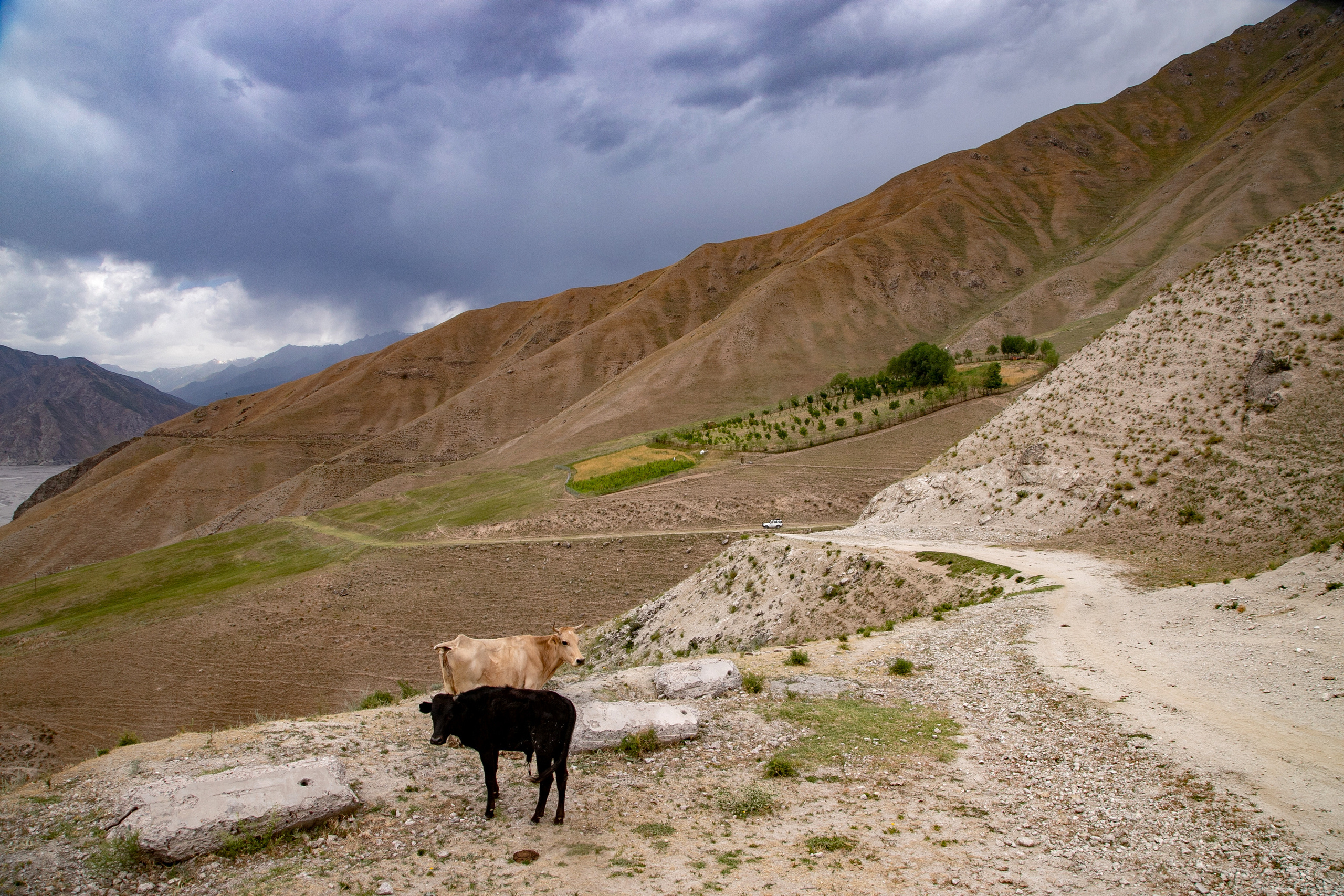 AGA KHAN FOUNDATION (Integrated Health and Habitat Improvement in Rasht Valley). Коммерческий фотограф в г. Душанбе, Орзу Собиров