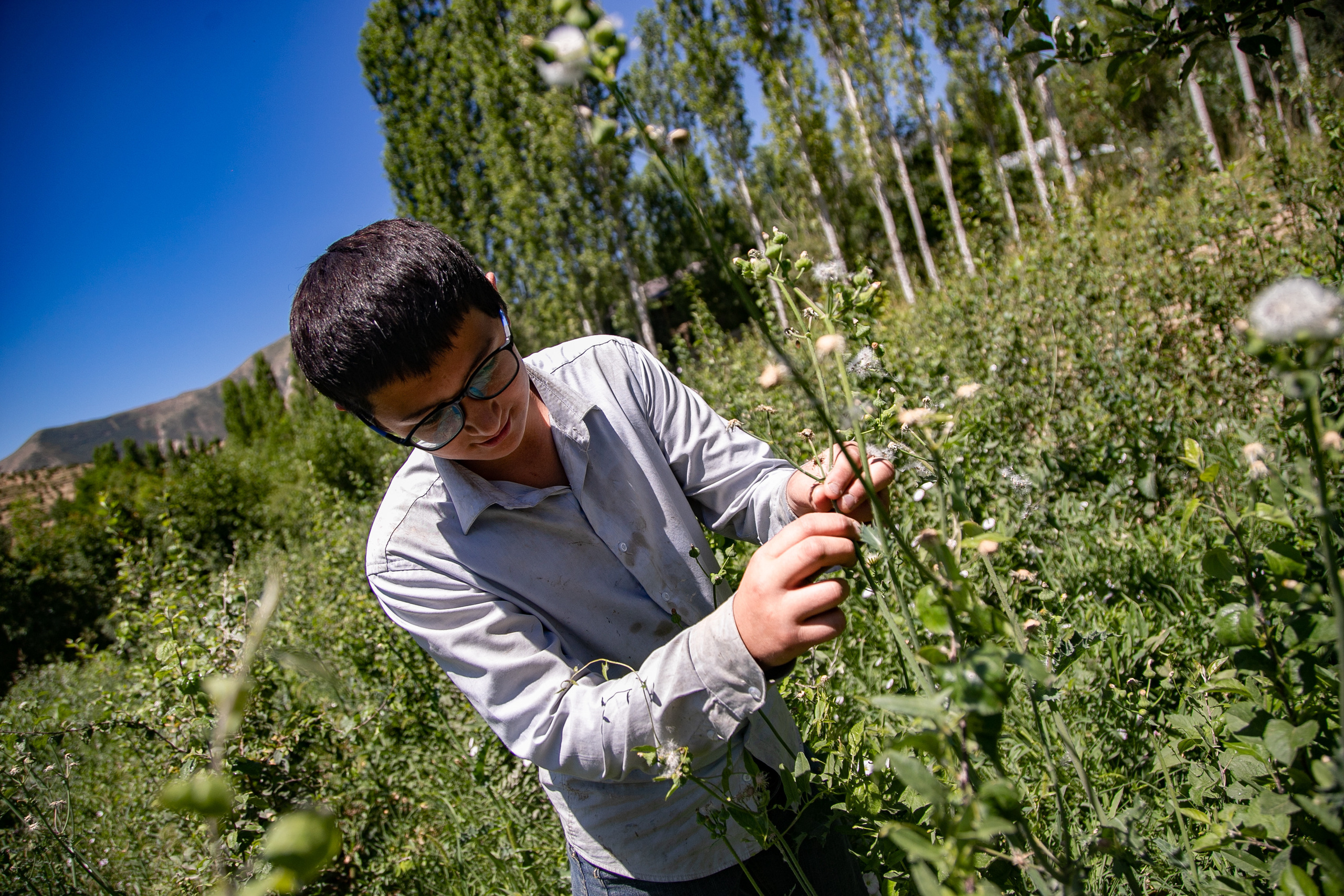 AGA KHAN FOUNDATION (Integrated Health and Habitat Improvement in Rasht Valley). Коммерческий фотограф в г. Душанбе, Орзу Собиров