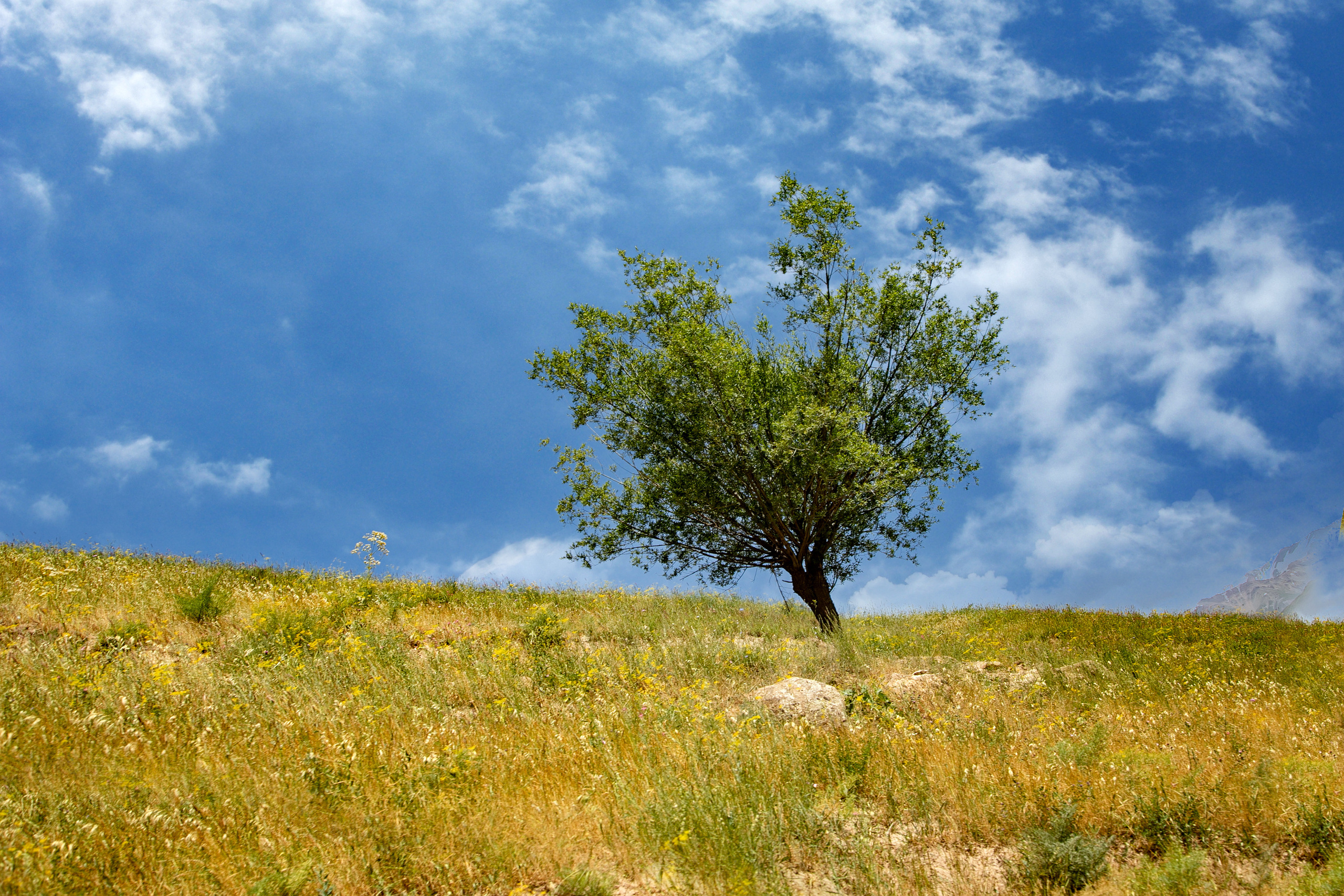 AGA KHAN FOUNDATION (Integrated Health and Habitat Improvement in Rasht Valley). Коммерческий фотограф в г. Душанбе, Орзу Собиров