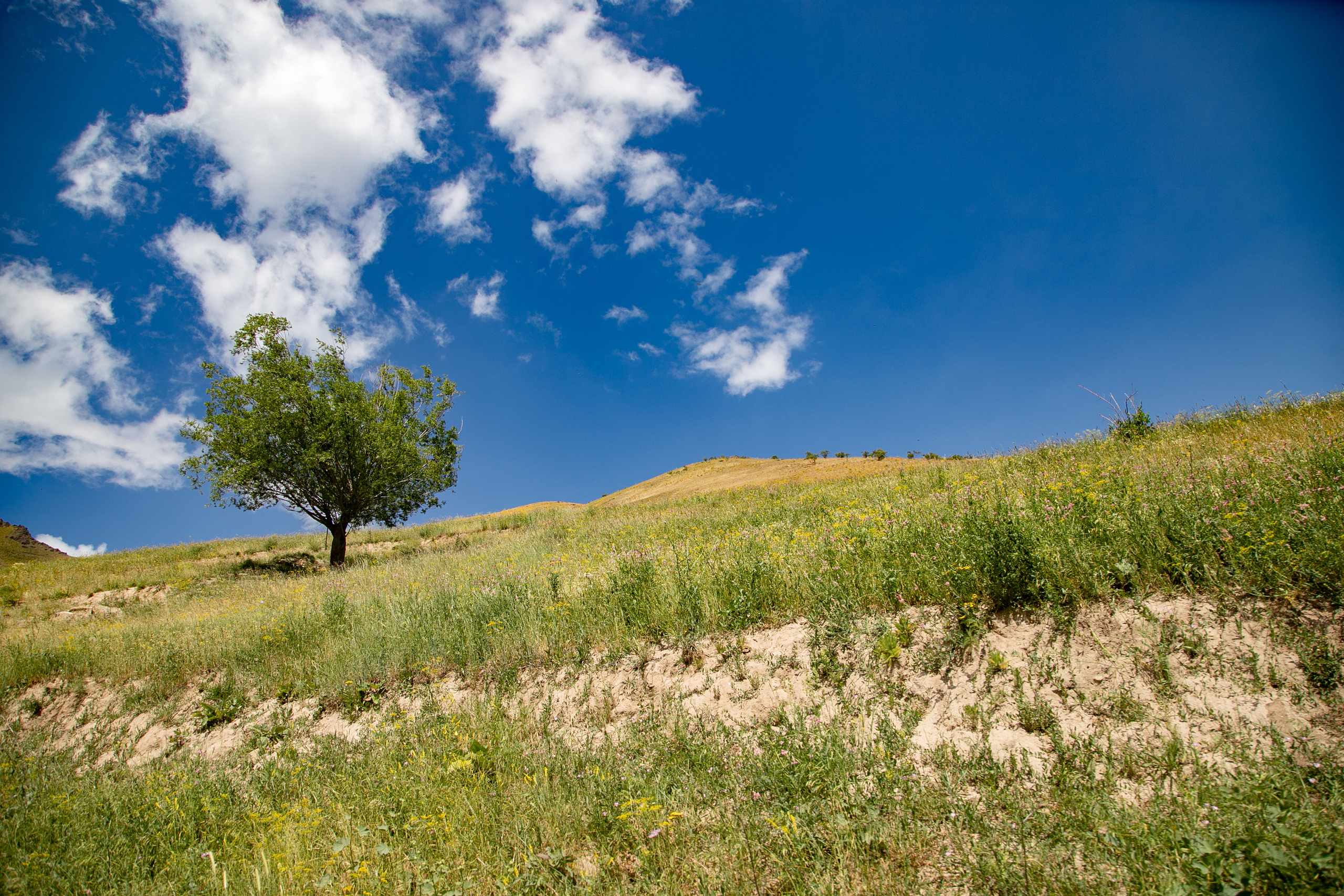 AGA KHAN FOUNDATION (Integrated Health and Habitat Improvement in Rasht Valley). Коммерческий фотограф в г. Душанбе, Орзу Собиров