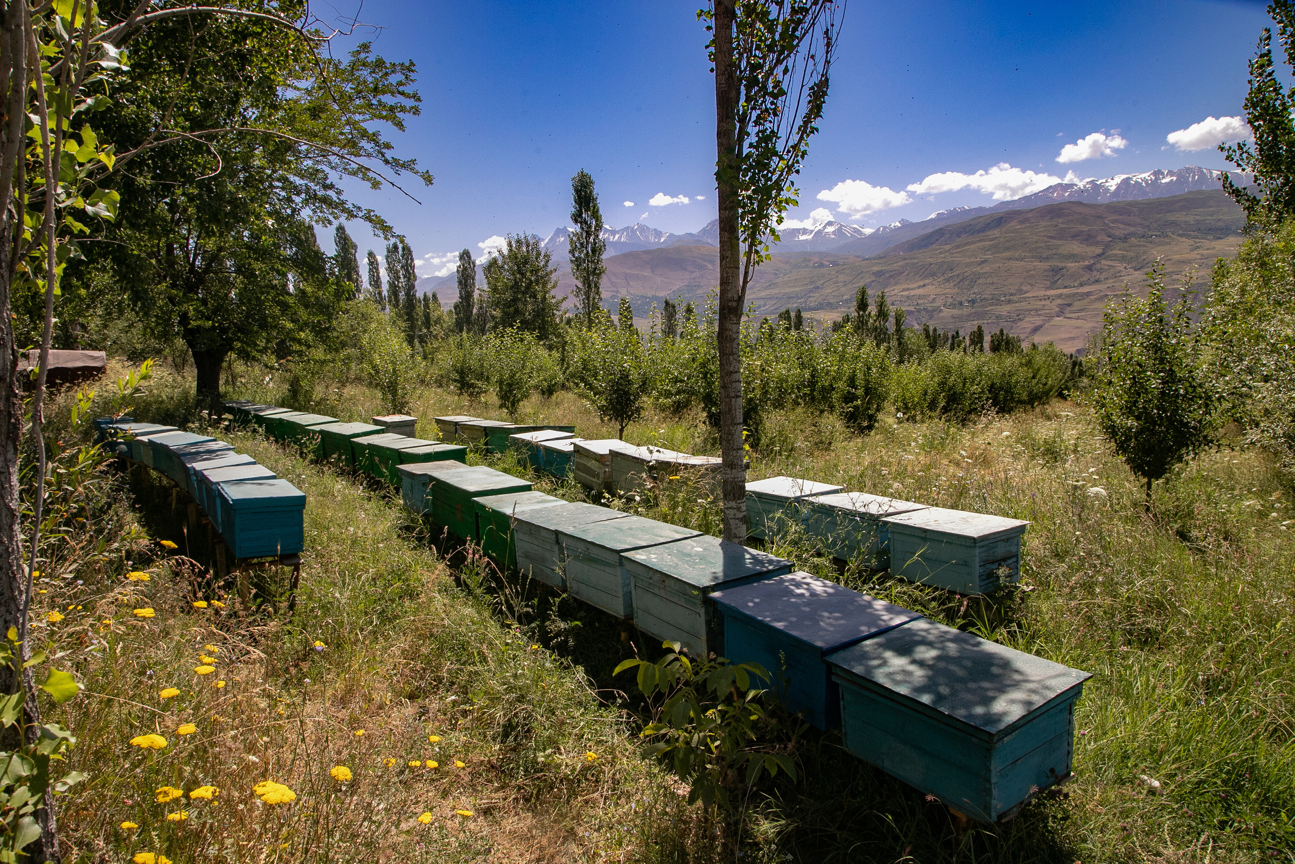 AGA KHAN FOUNDATION (Integrated Health and Habitat Improvement in Rasht Valley). Коммерческий фотограф в г. Душанбе, Орзу Собиров