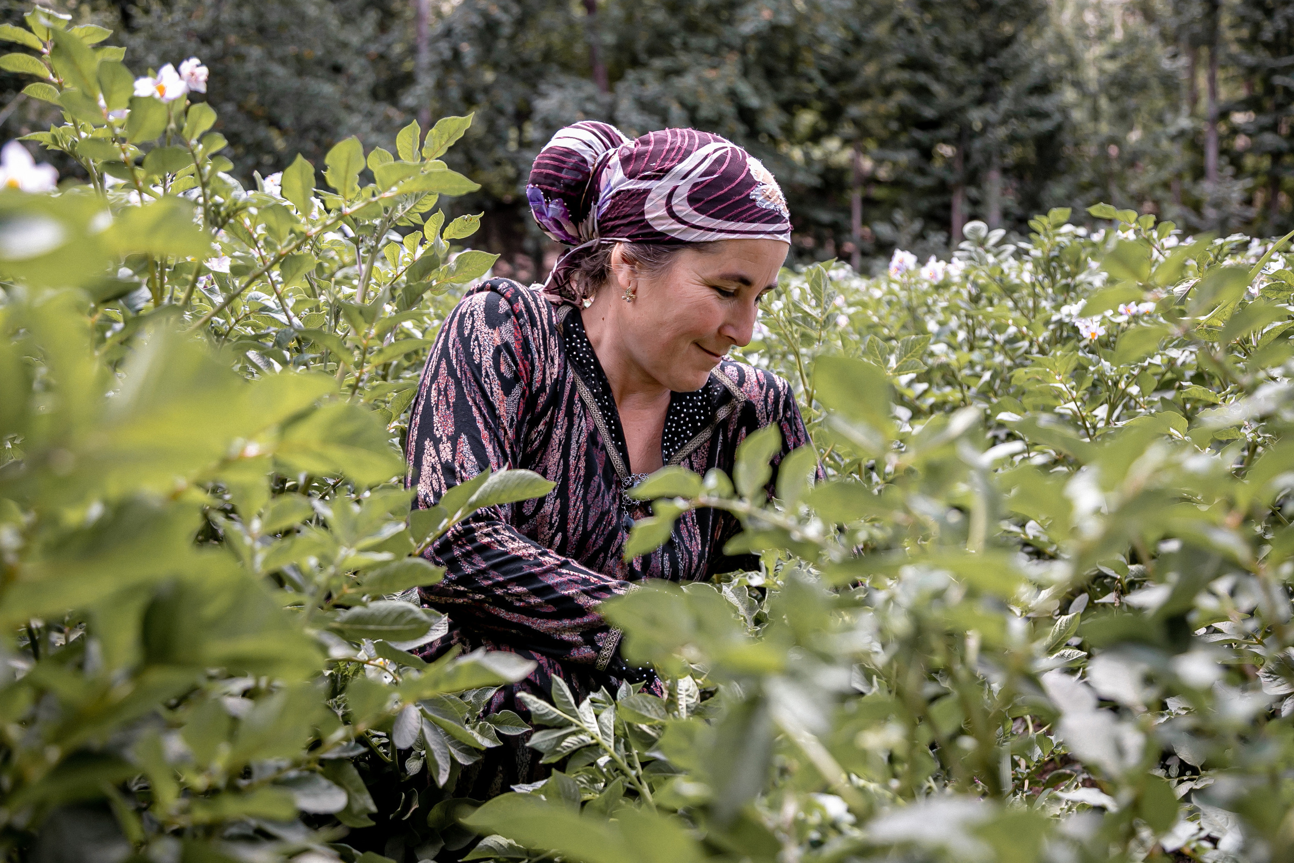 AGA KHAN FOUNDATION (Integrated Health and Habitat Improvement in Rasht Valley). Коммерческий фотограф в г. Душанбе, Орзу Собиров