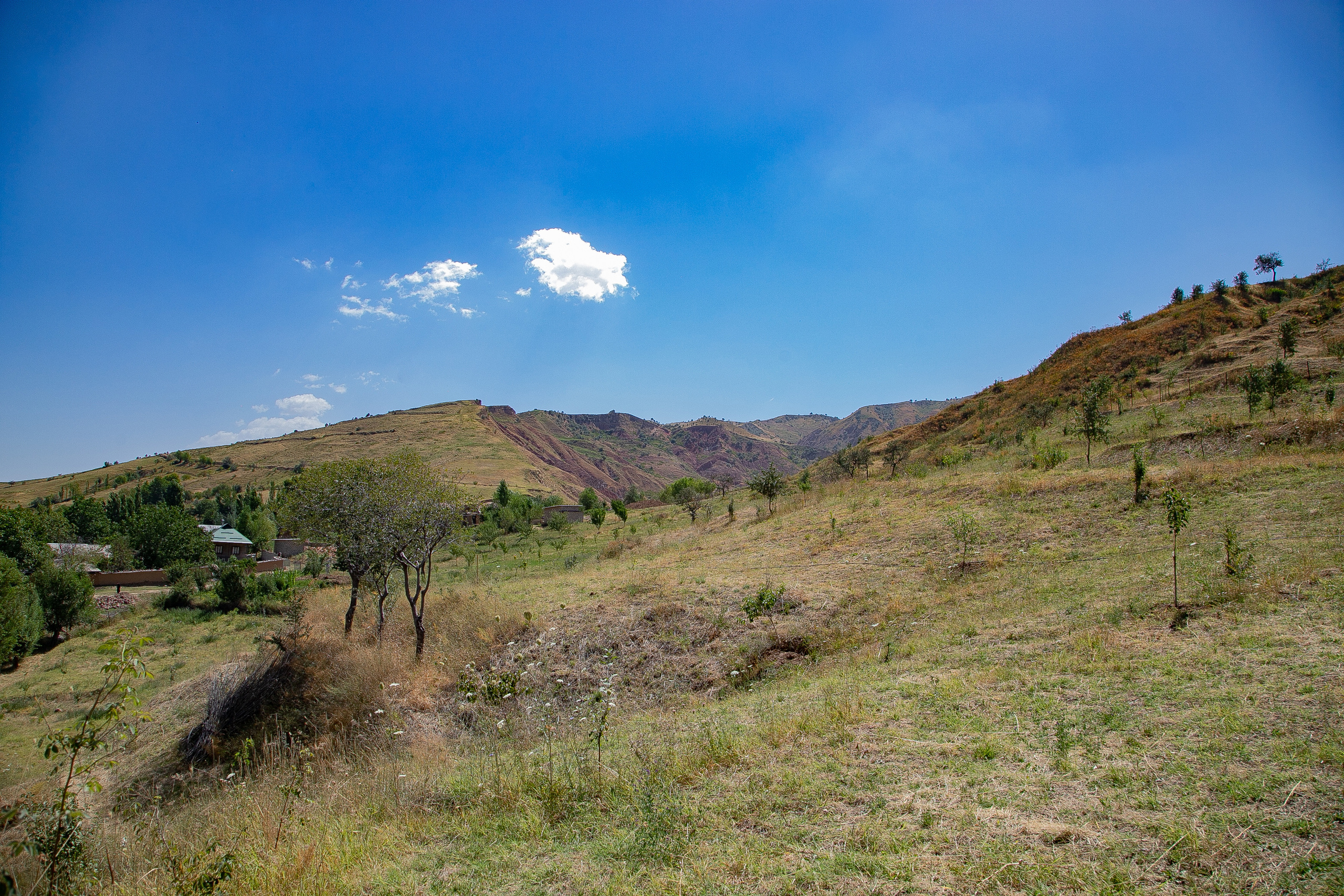 AGA KHAN FOUNDATION (Integrated Health and Habitat Improvement in Rasht Valley). Коммерческий фотограф в г. Душанбе, Орзу Собиров