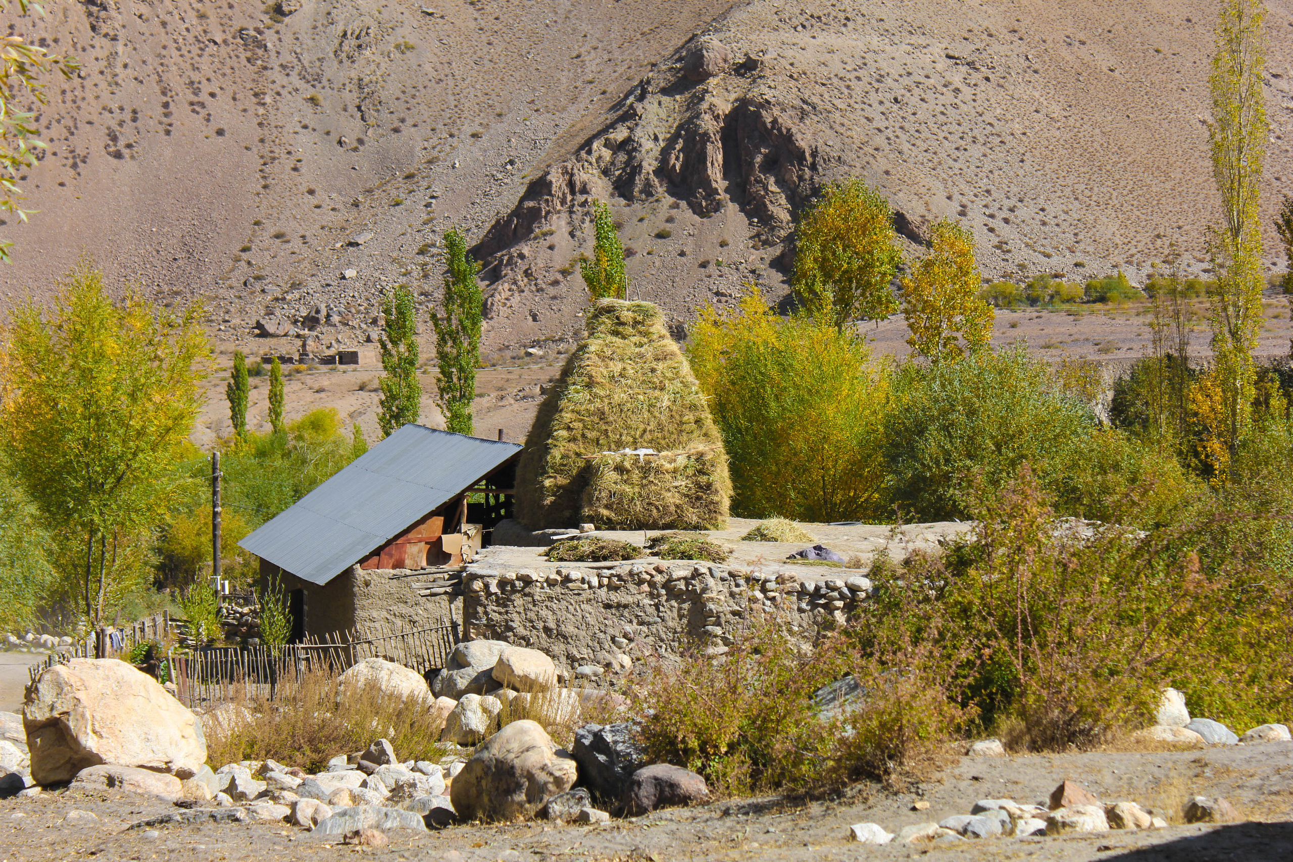 Природа. Коммерческий фотограф в г. Душанбе, Орзу Собиров