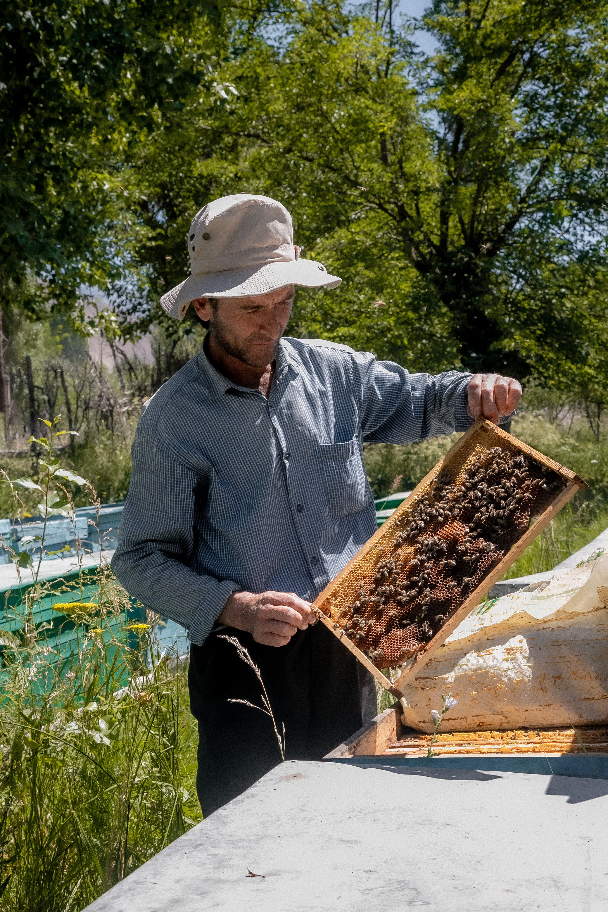 AGA KHAN FOUNDATION (Integrated Health and Habitat Improvement in Rasht Valley). Коммерческий фотограф в г. Душанбе, Орзу Собиров
