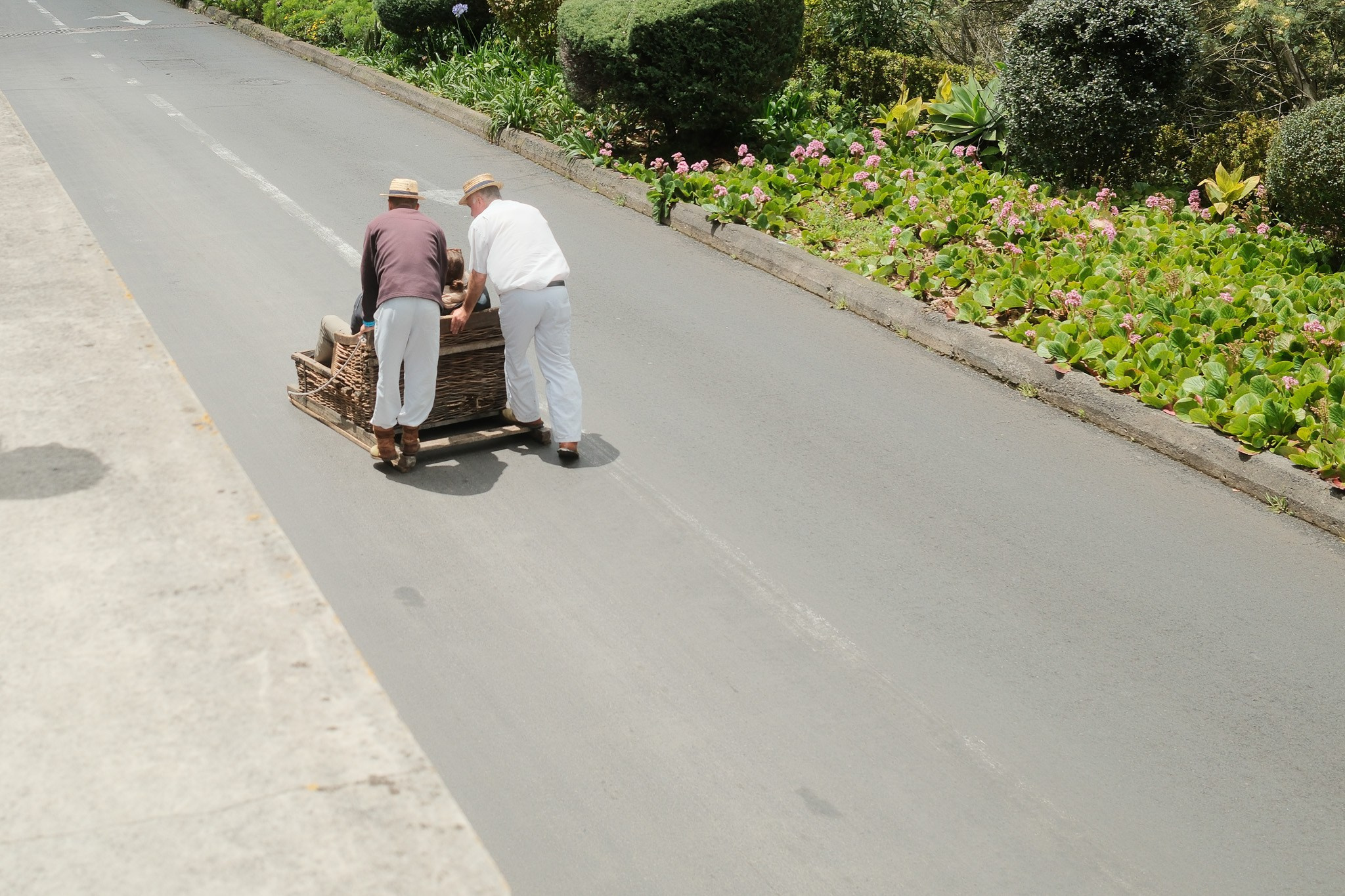 Madeira 2025. Cal Takes Photos
