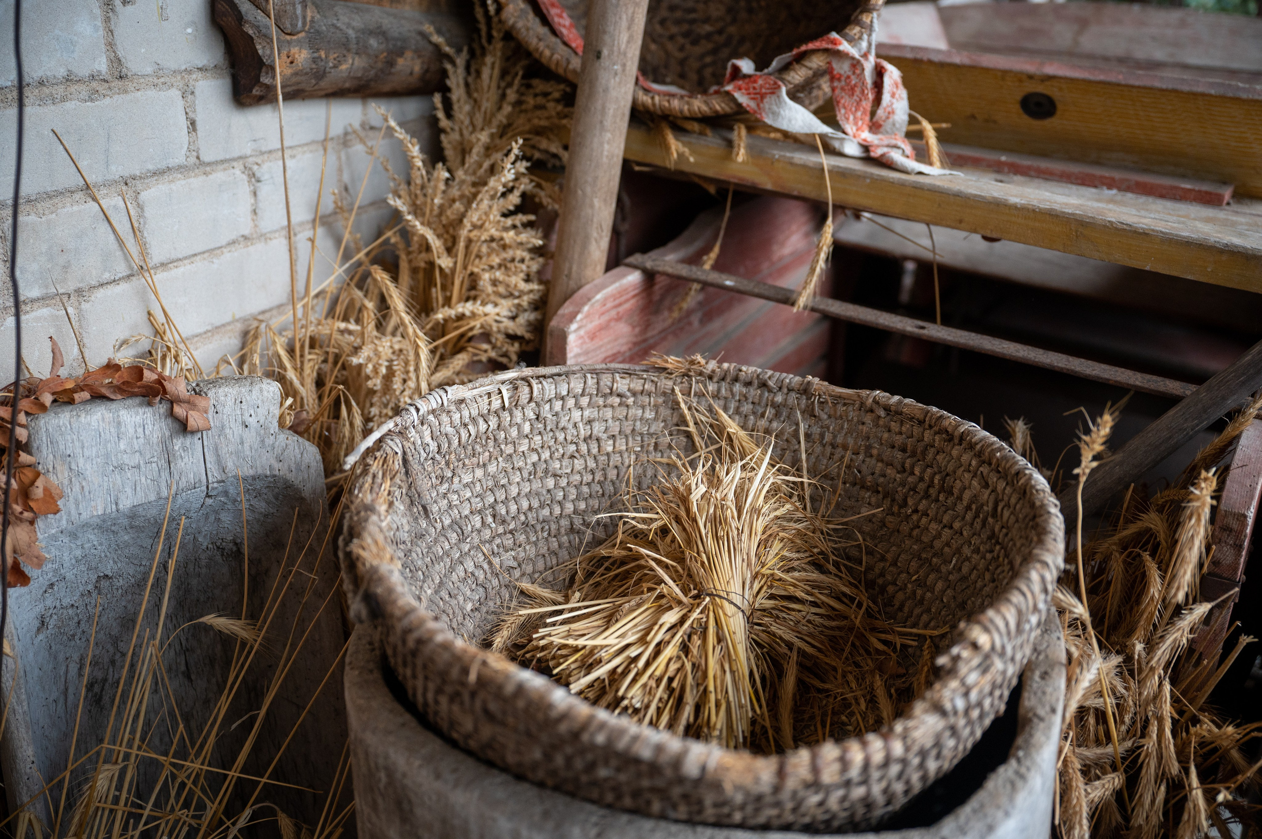 Sandis & Ieva. Ritvars Pujats Emotion Photographer