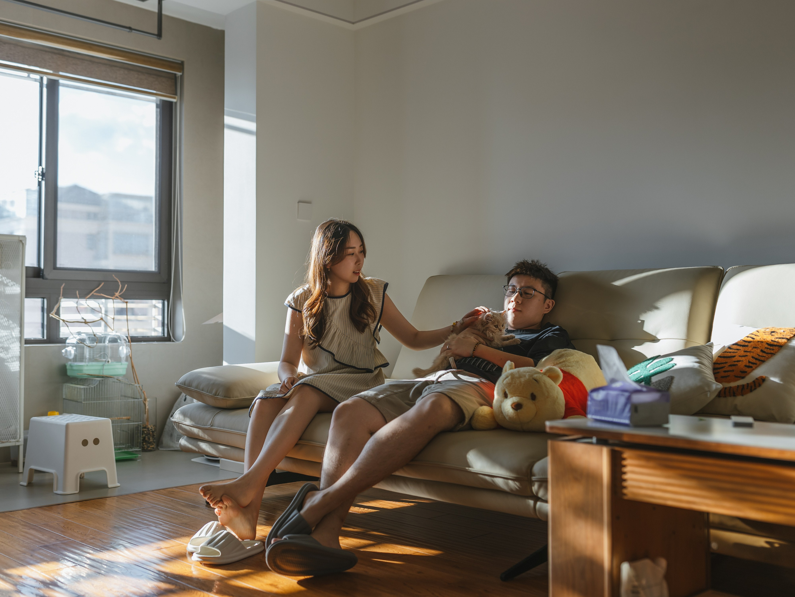 Photos of pets. Shanghai Family Photographer Dora