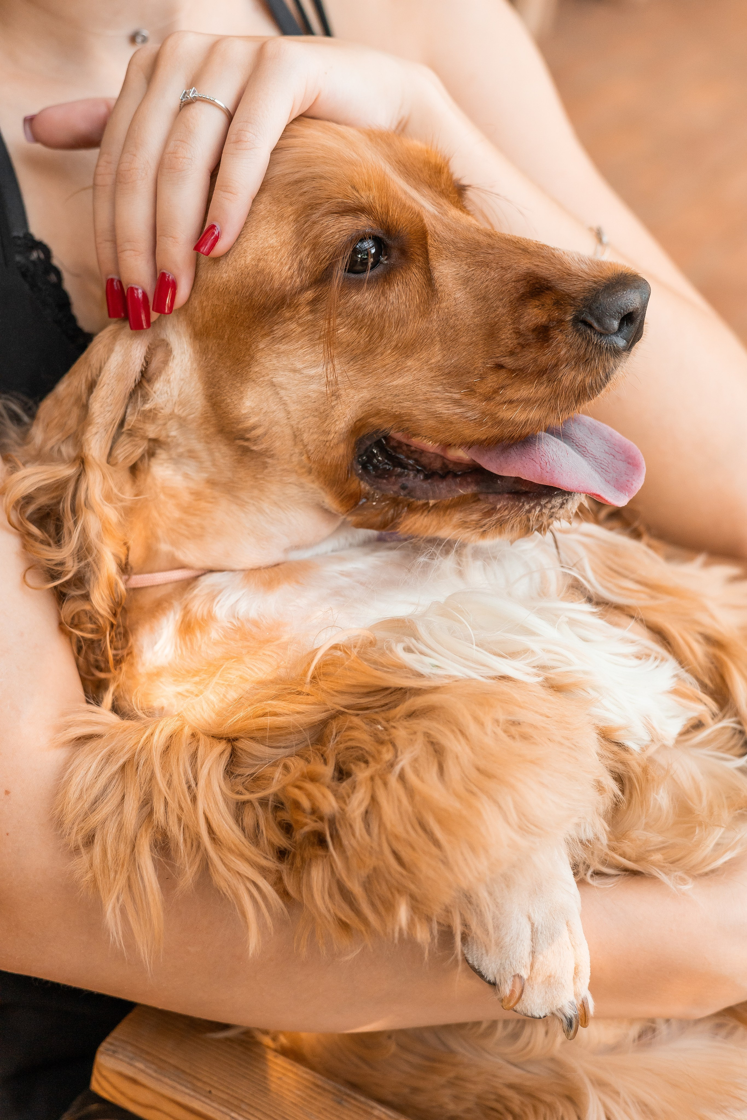 Алина и Юки. Фотограф-анималист | Белград