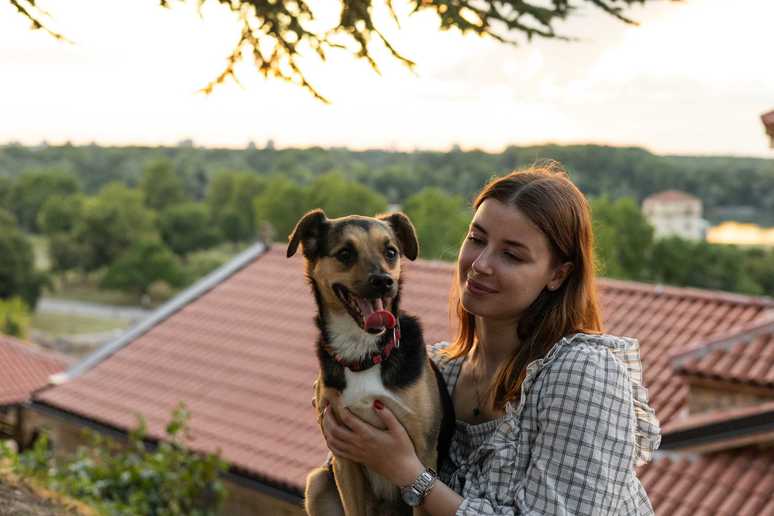 Настя, Денис и Мося. Фотограф-анималист | Белград