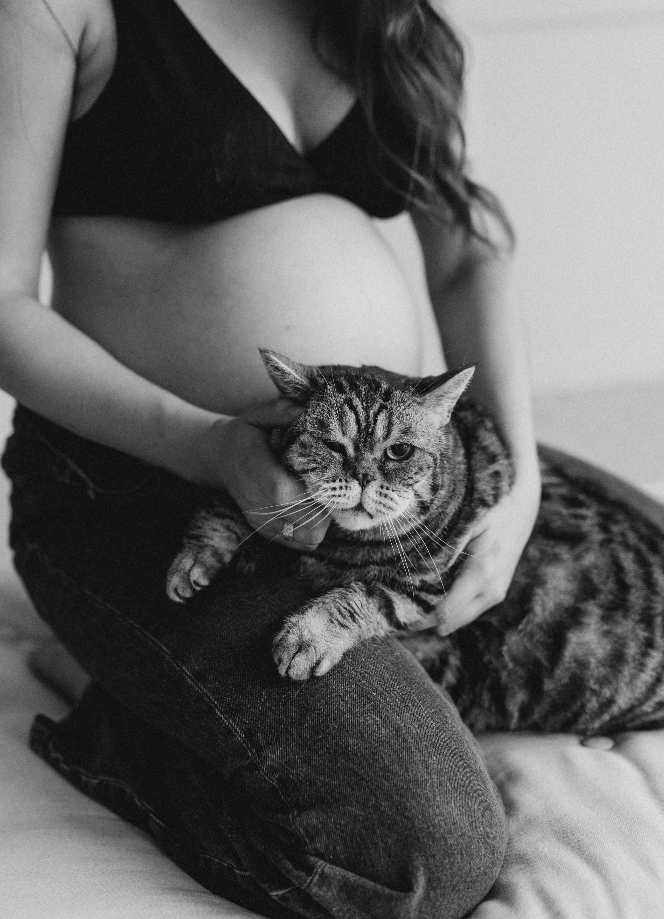 Pregnant Story. Main