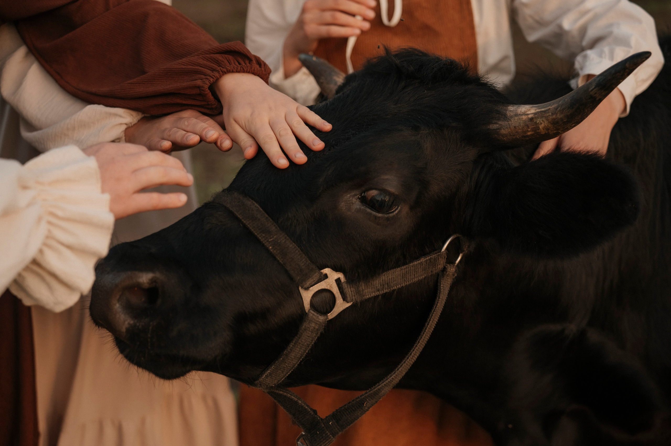 Сестры. Photographer Tallinn — Wedding | Family | Love Story