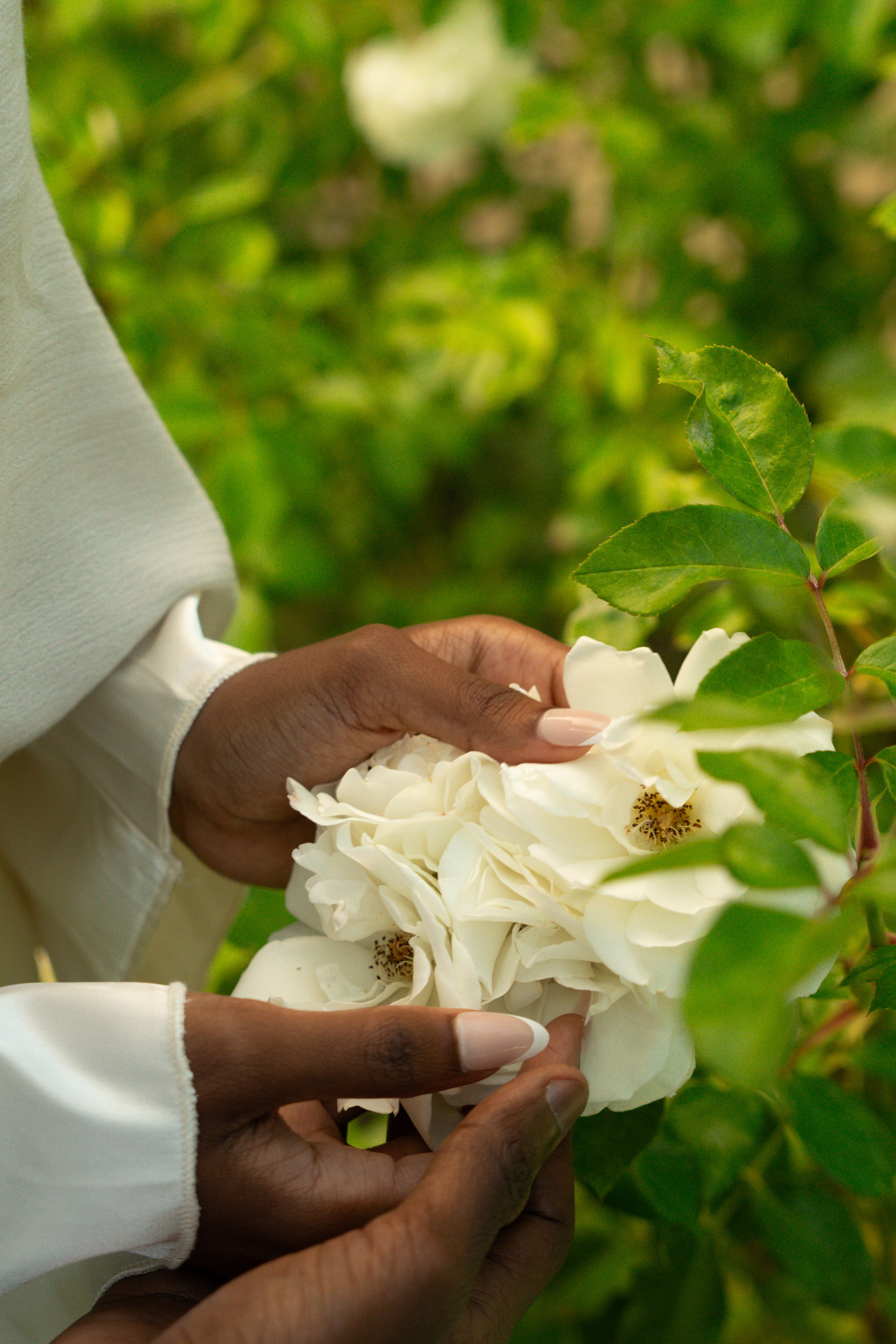 Elopment — San Francisco