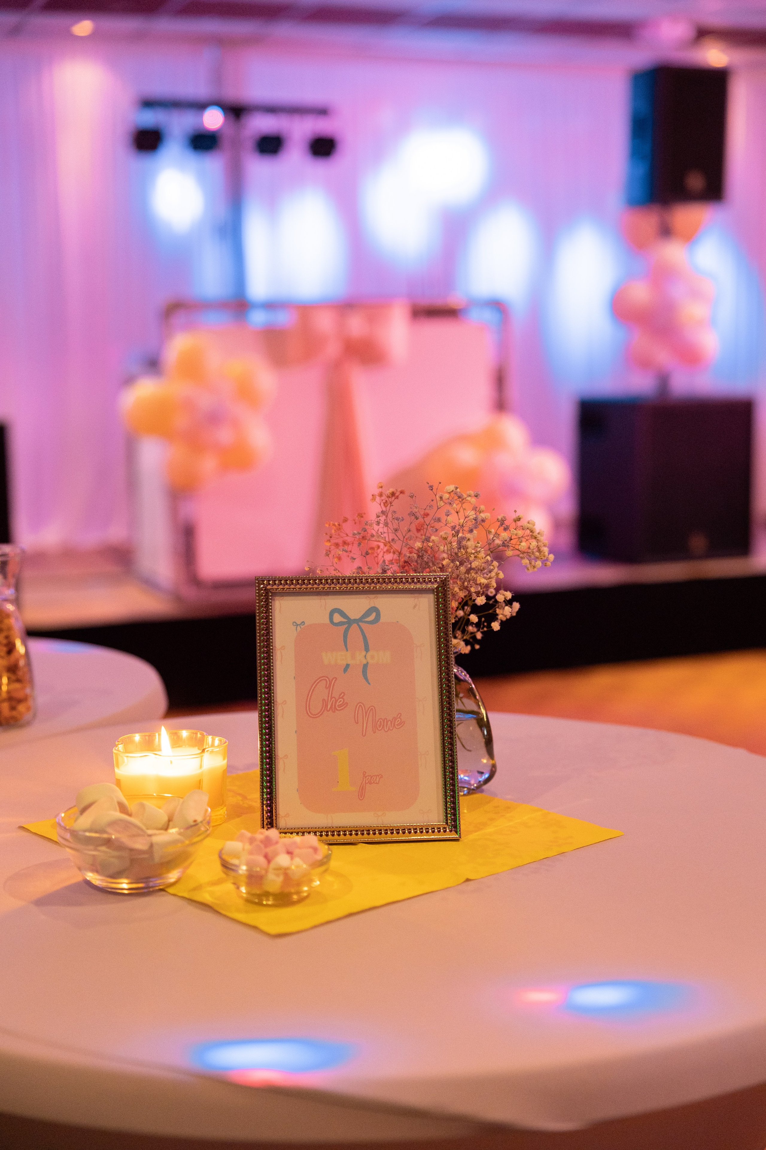 1 st Birthday. Portrait and Family Photographer in Netherlands