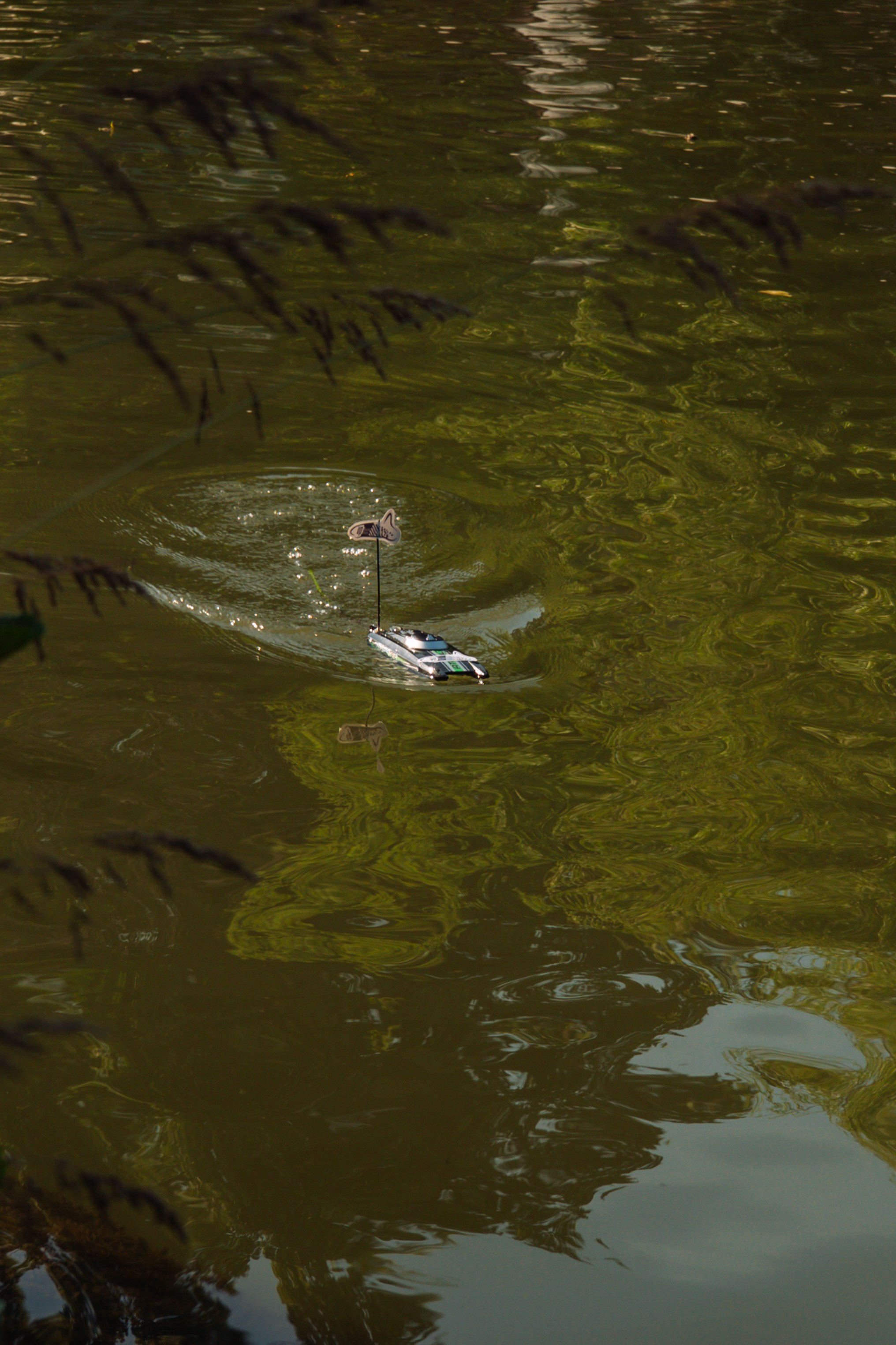 06.04 Bega Boat Race. Cozac Cristian Photographer
