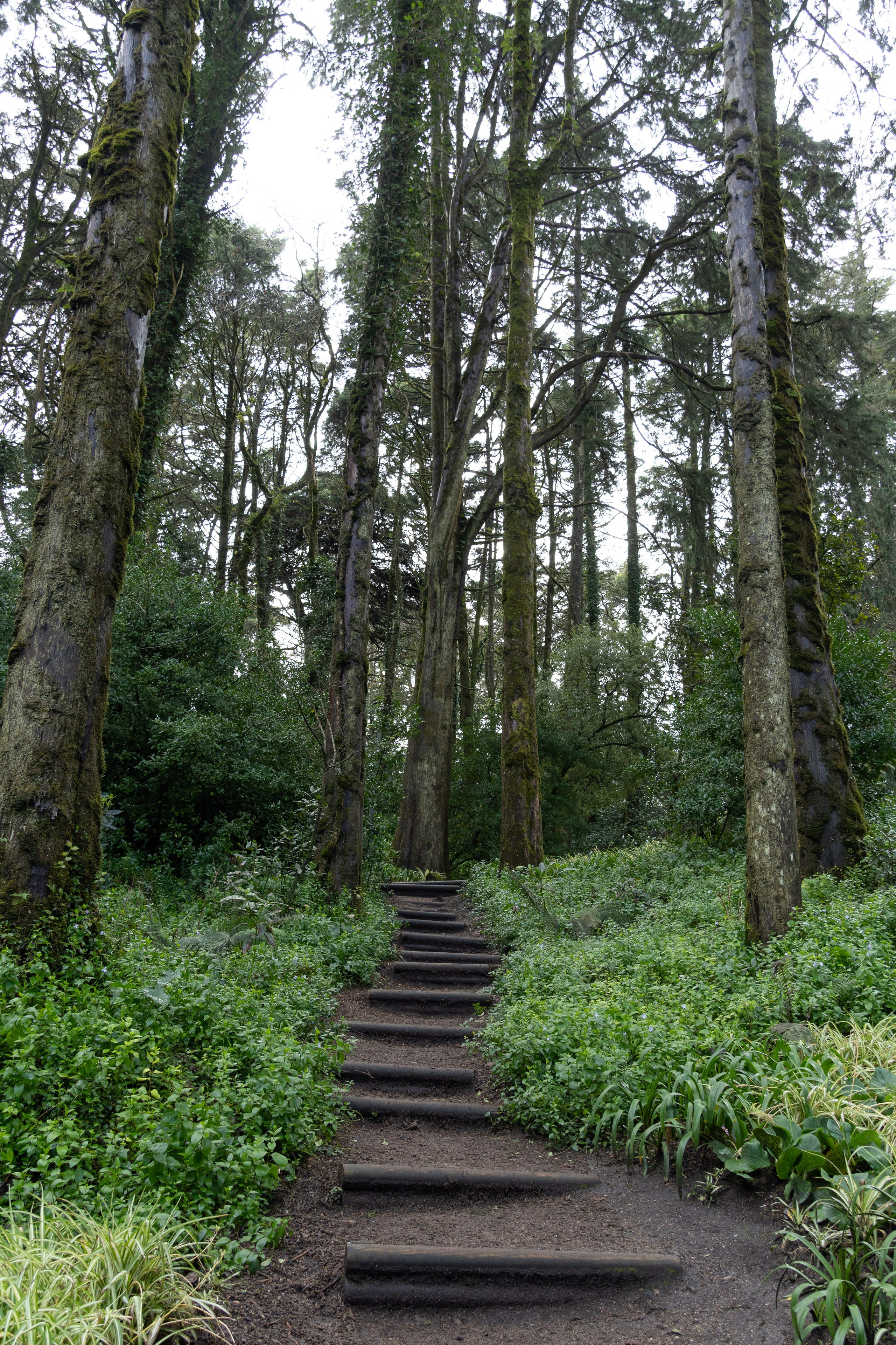 Lisabona 2025. Fotografiideplacere.net