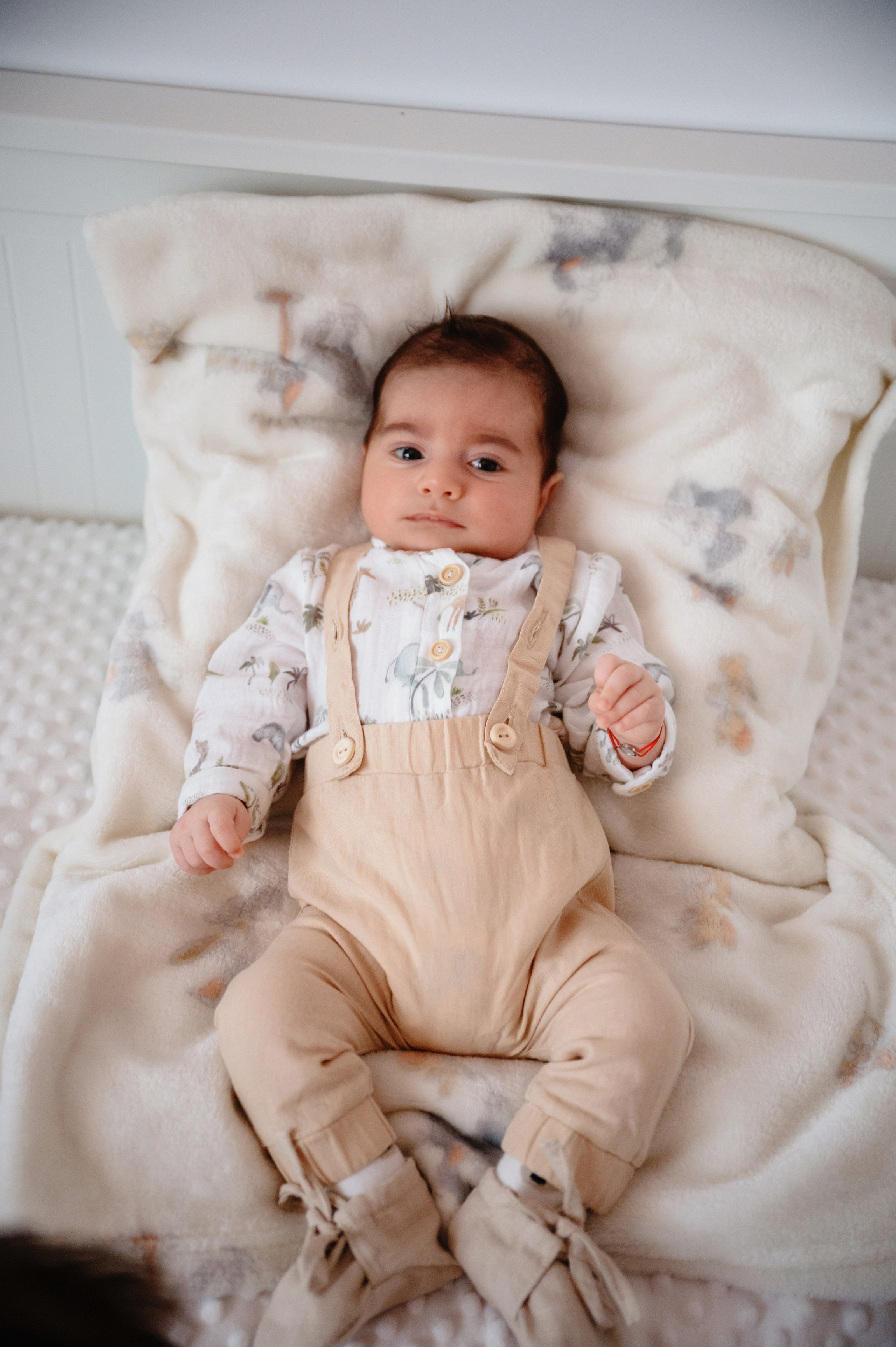 Povestea lui Vladimir. Laurentiu Stefan StoryTeller