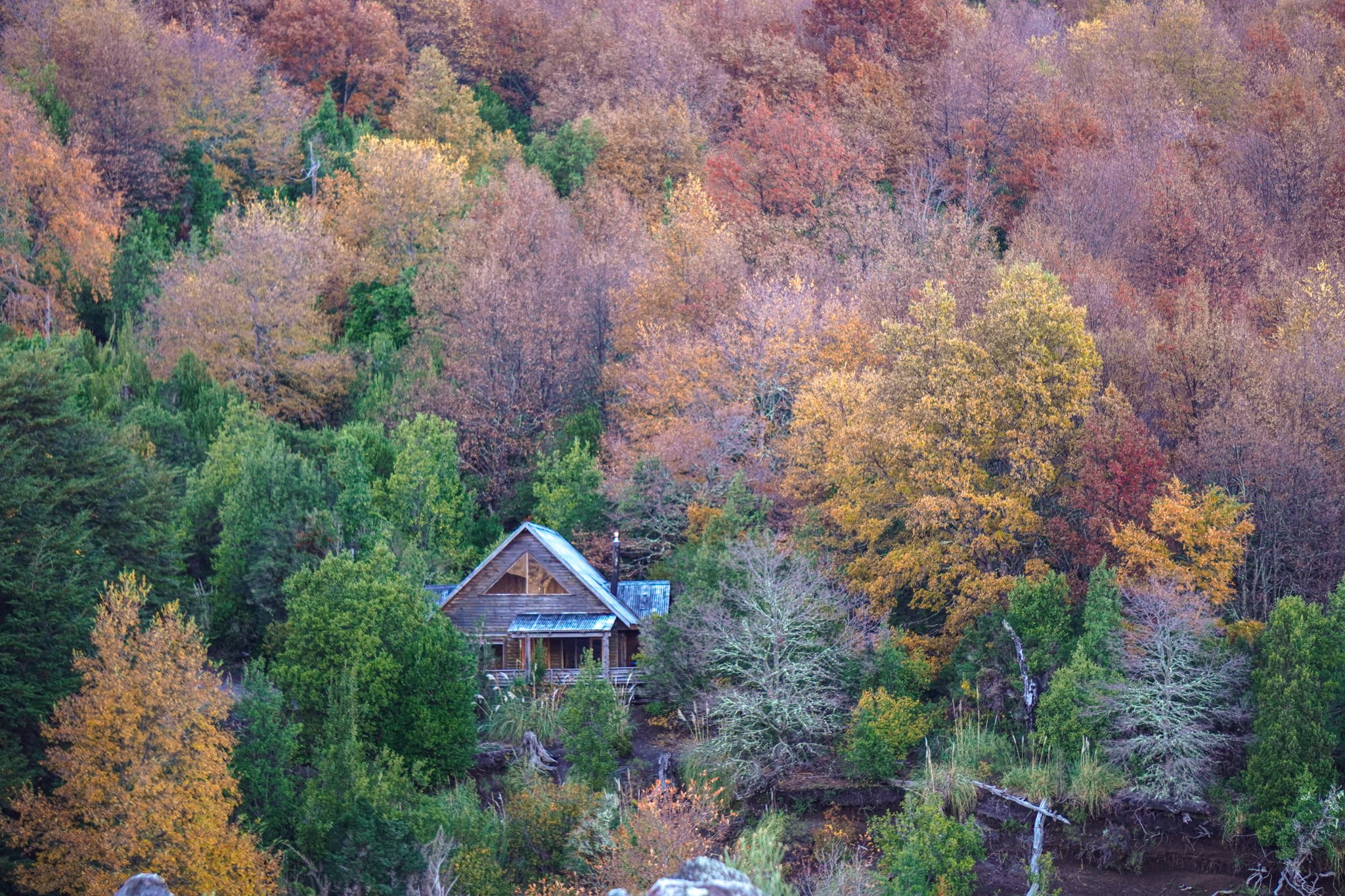 Otoño 2026 en la Araucanía. Fotógrafo de naturaleza en Chile Cristian Larrere Worner