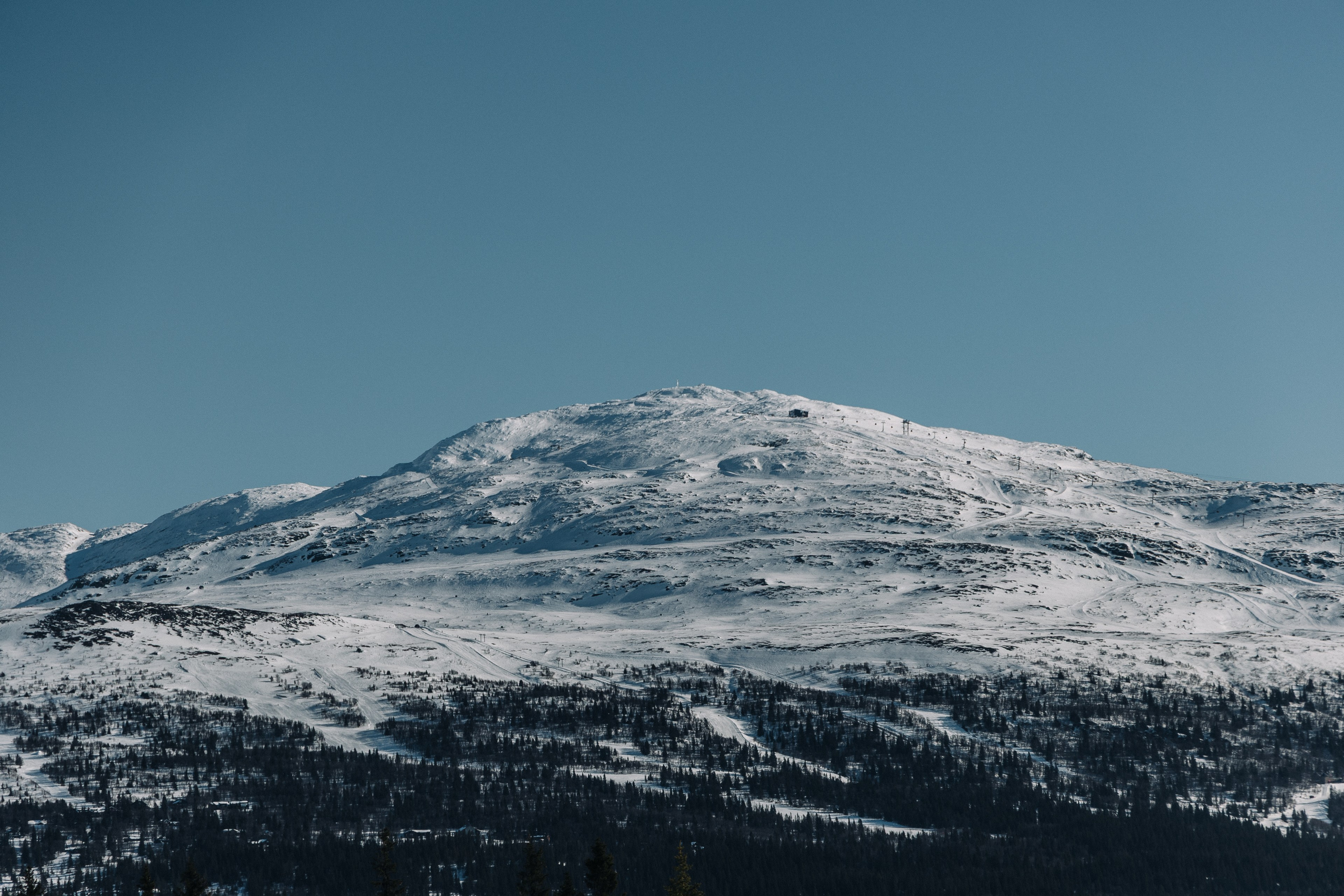 Street Photography. Portree- ja perefotograaf Anton Hansen Tallinnas, Eestis