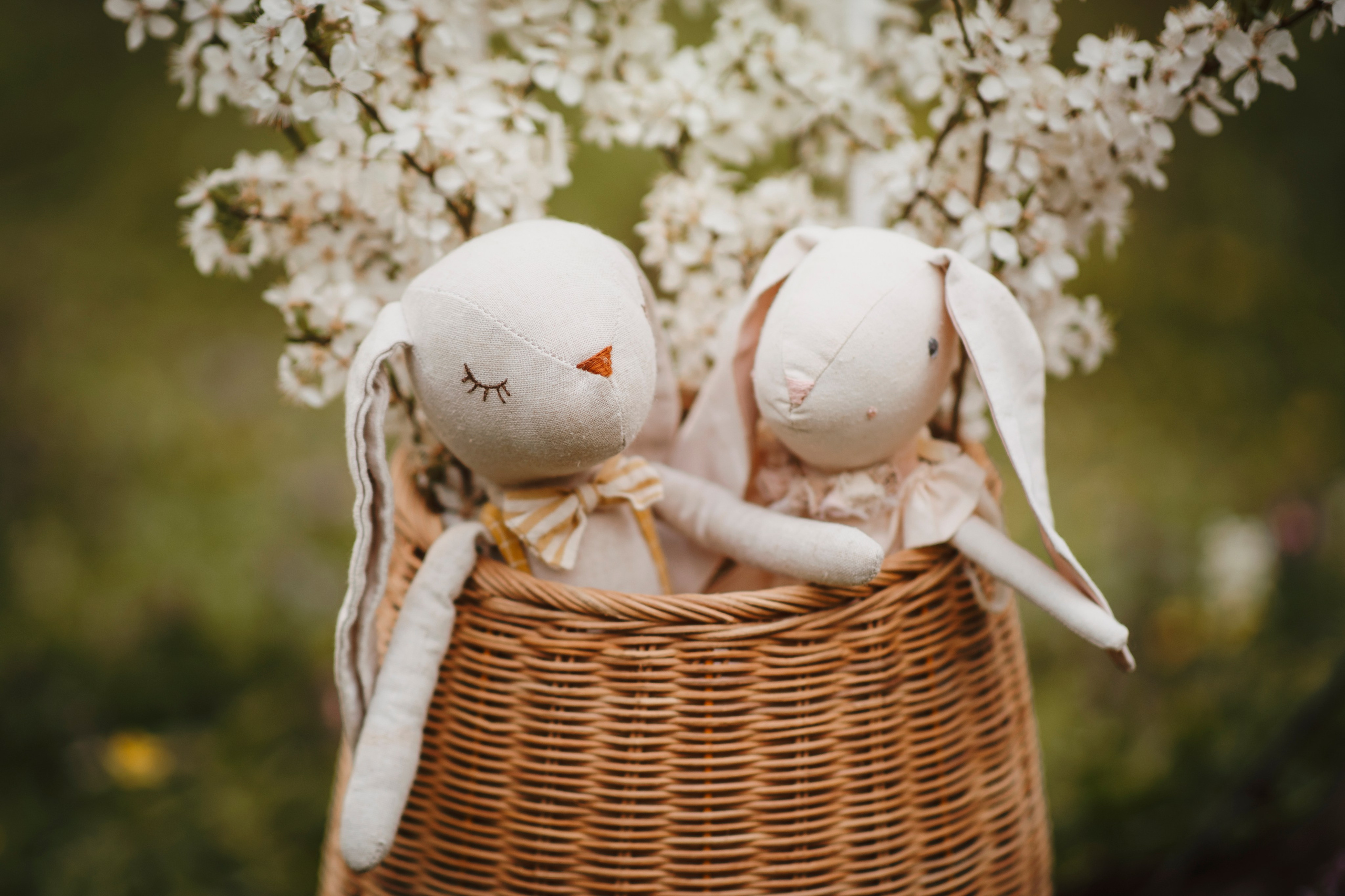 Sofia & Darius. Fotograf de eveniment din Buzău | Bogdan