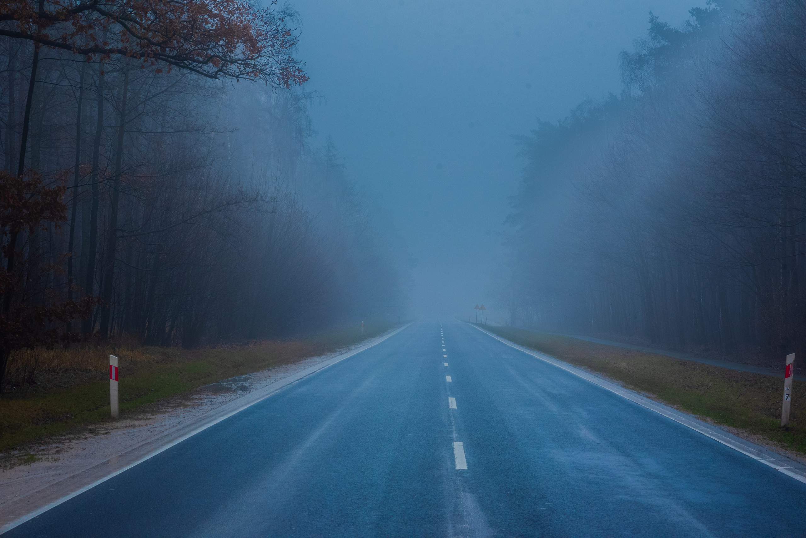 Туман в полях. Kindshephoto Женский и семейный фотограф Москва