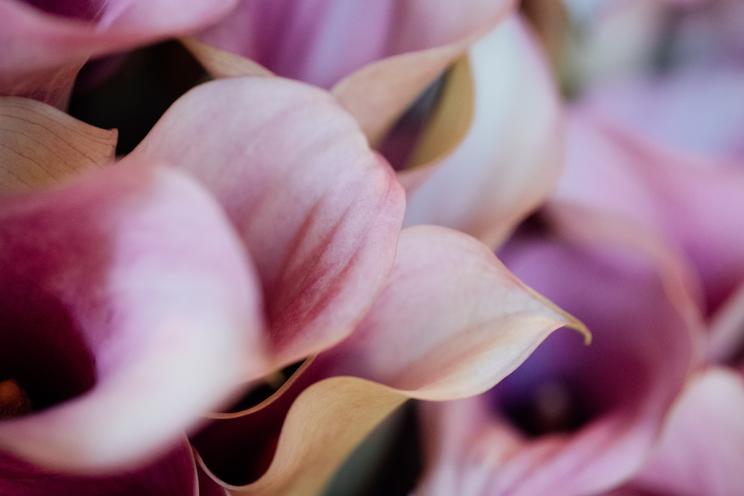 Limekiln, East Sussex, UK. 2025. Timeless Wedding & Event Photography — based London, working across Europe