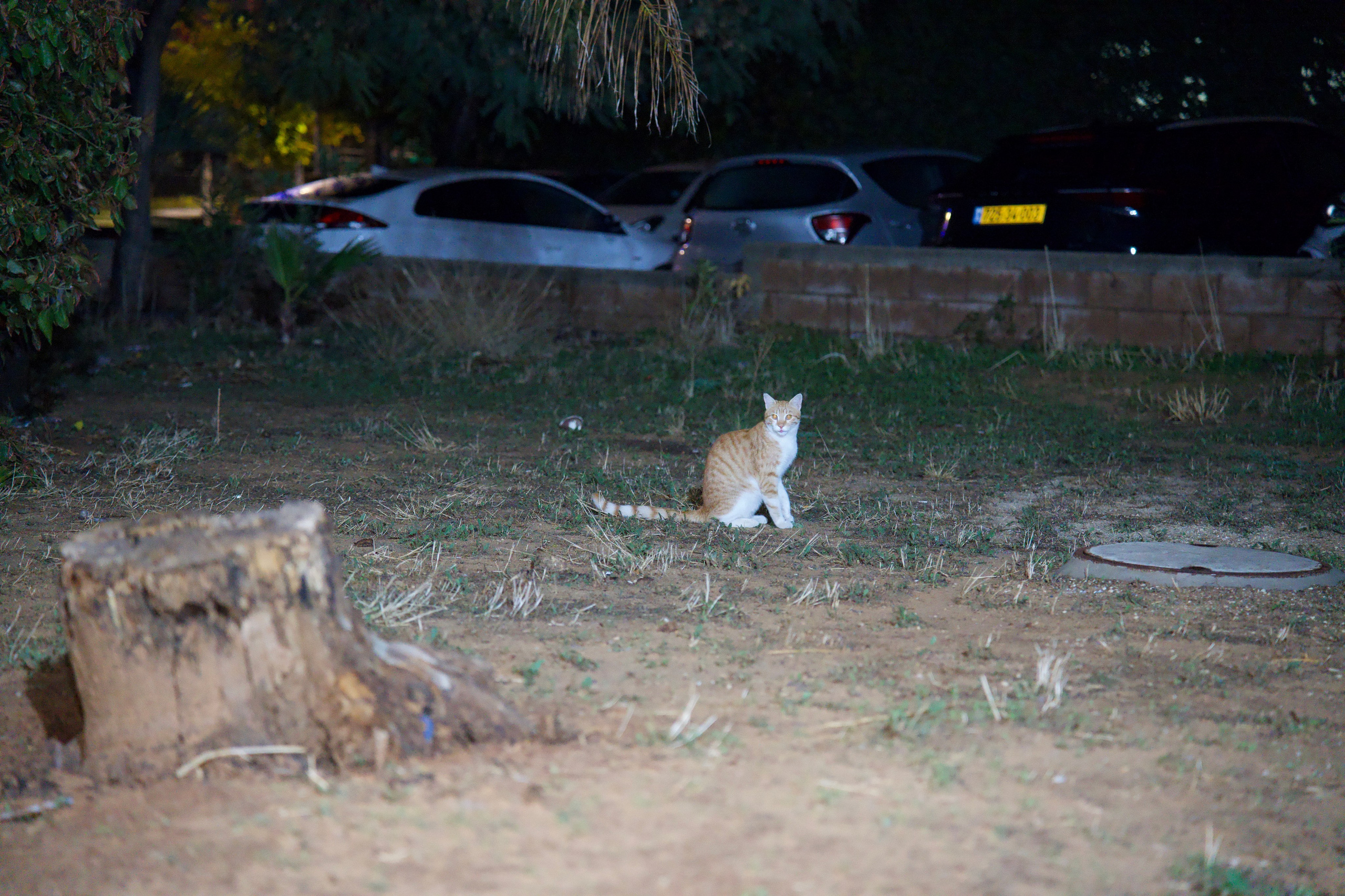 Everything from everything