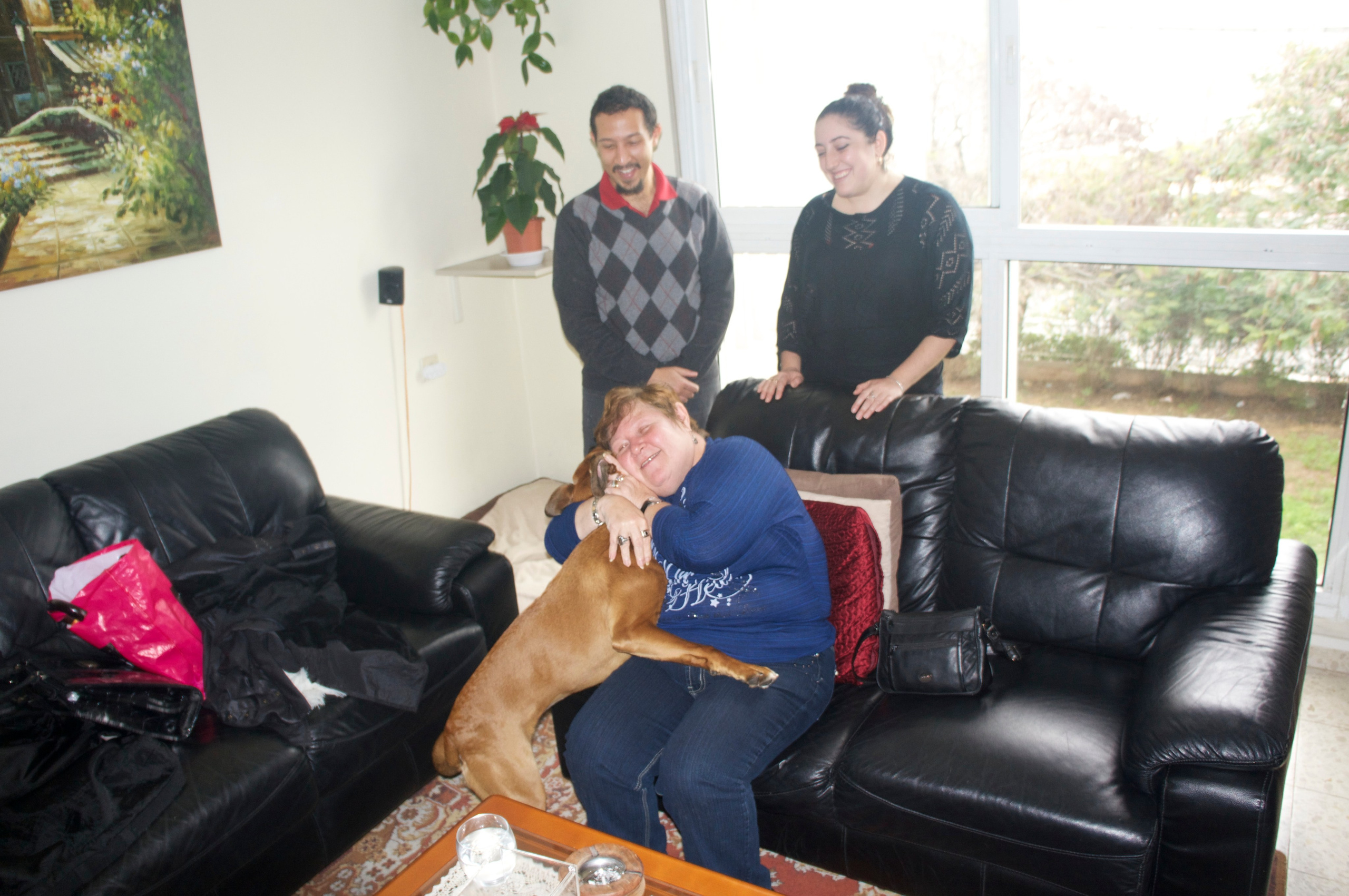 My ״Star״ Boxer Dog