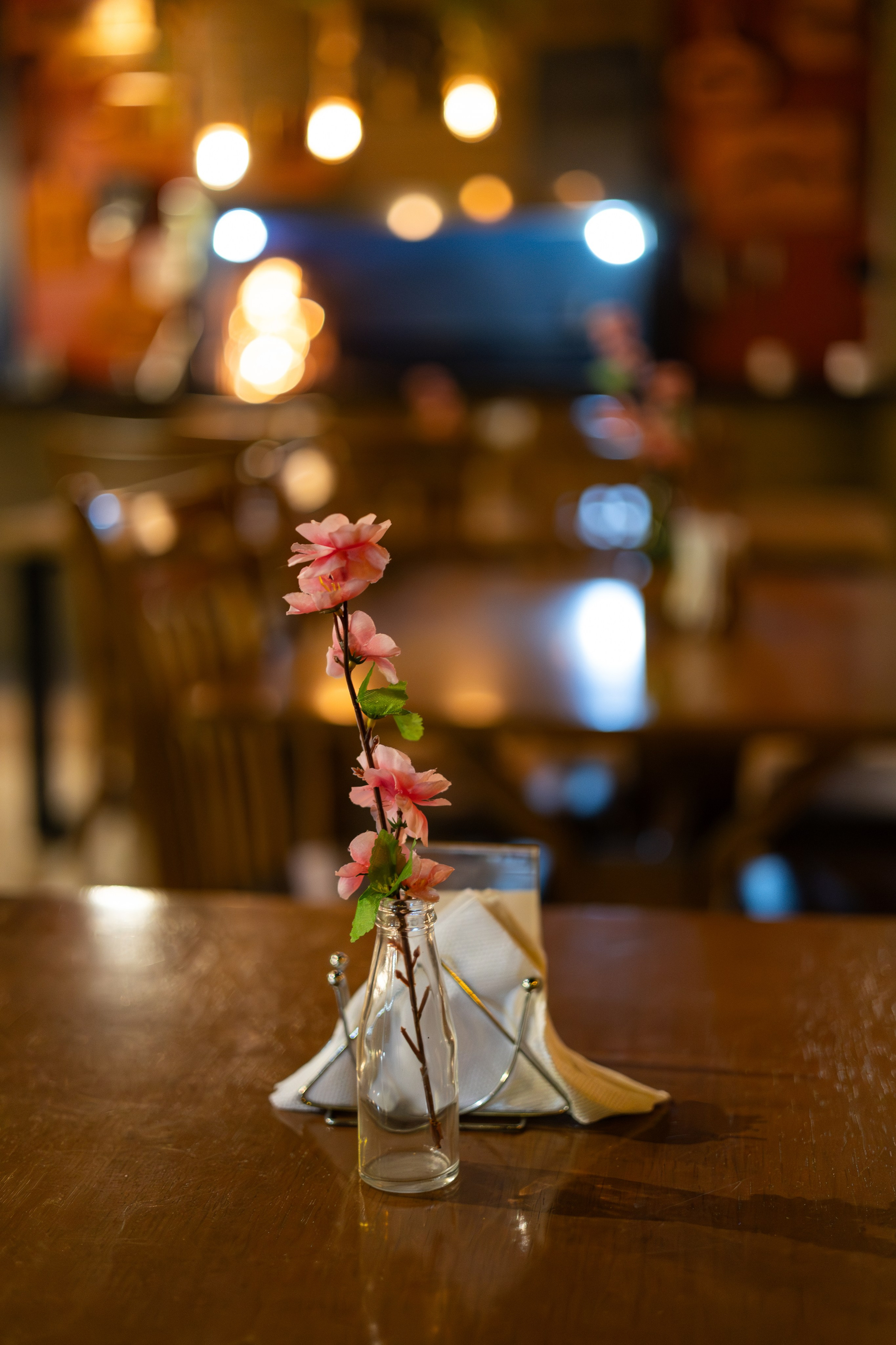 Lançamento de Livro Vivi Princival