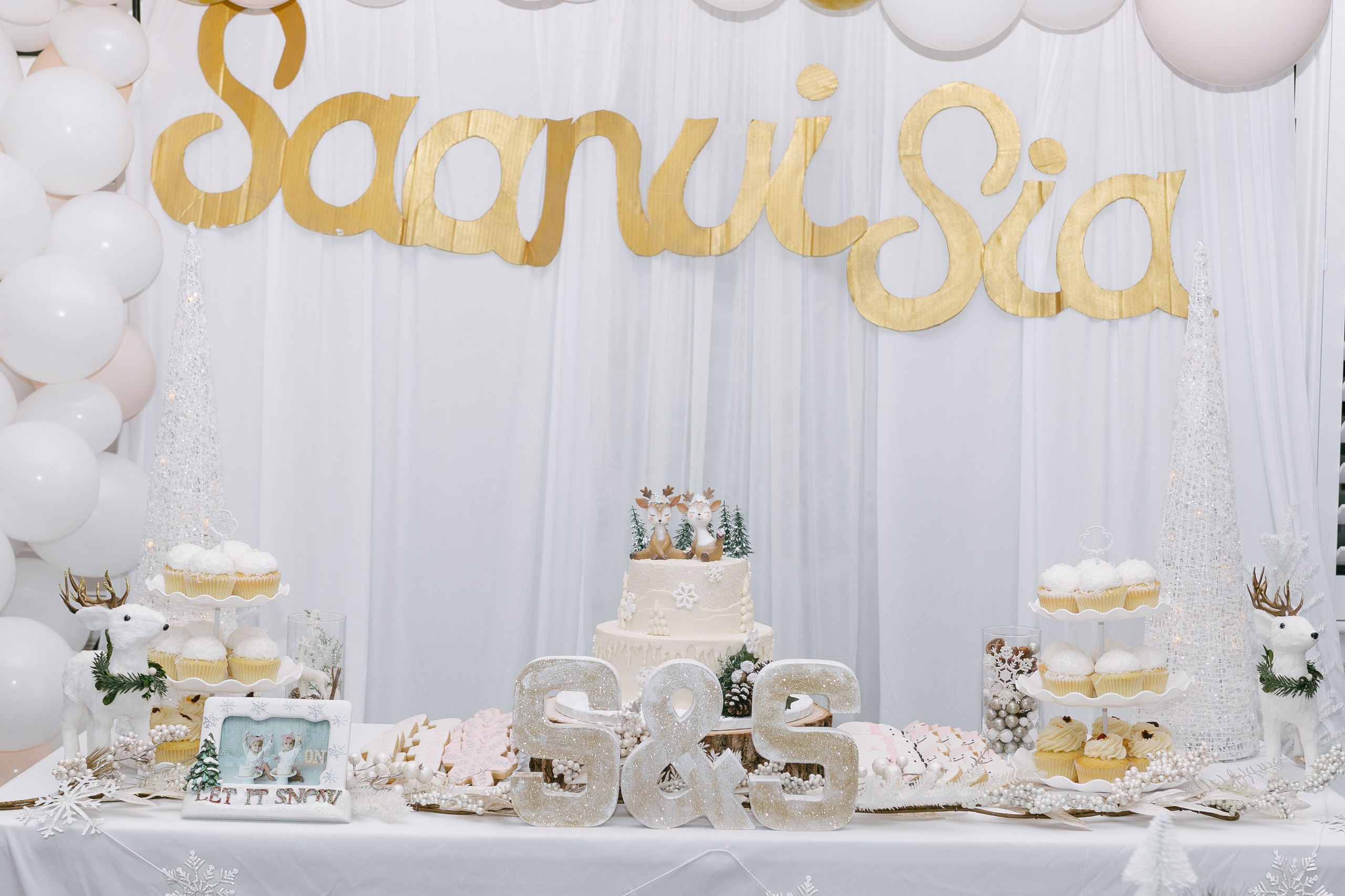 Twins Birthday. Sara Eulalia | Virginia Photographer