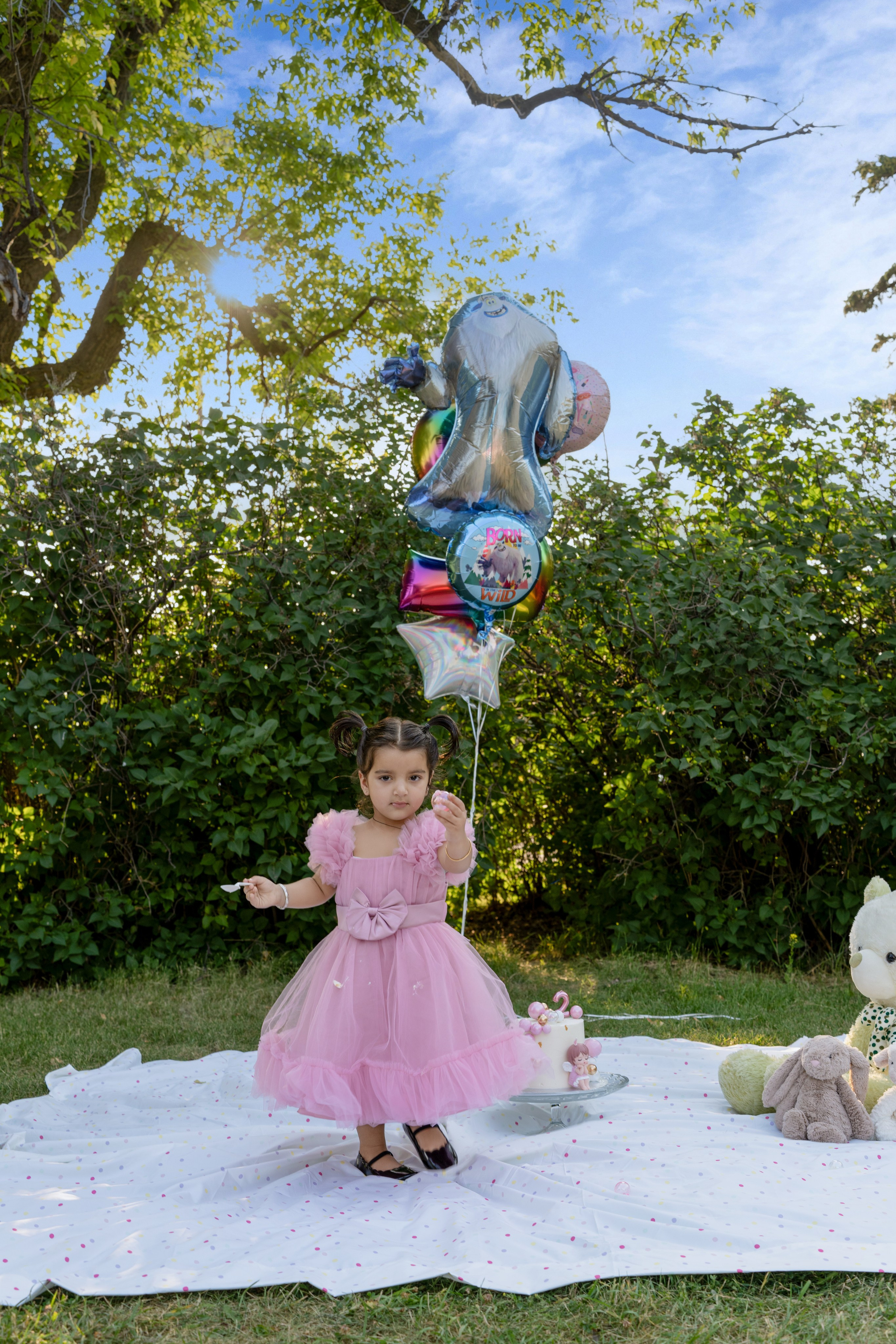 Sukhpinder Family. Engagement, Wedding & Family Photographer in Calgary | allo Photography