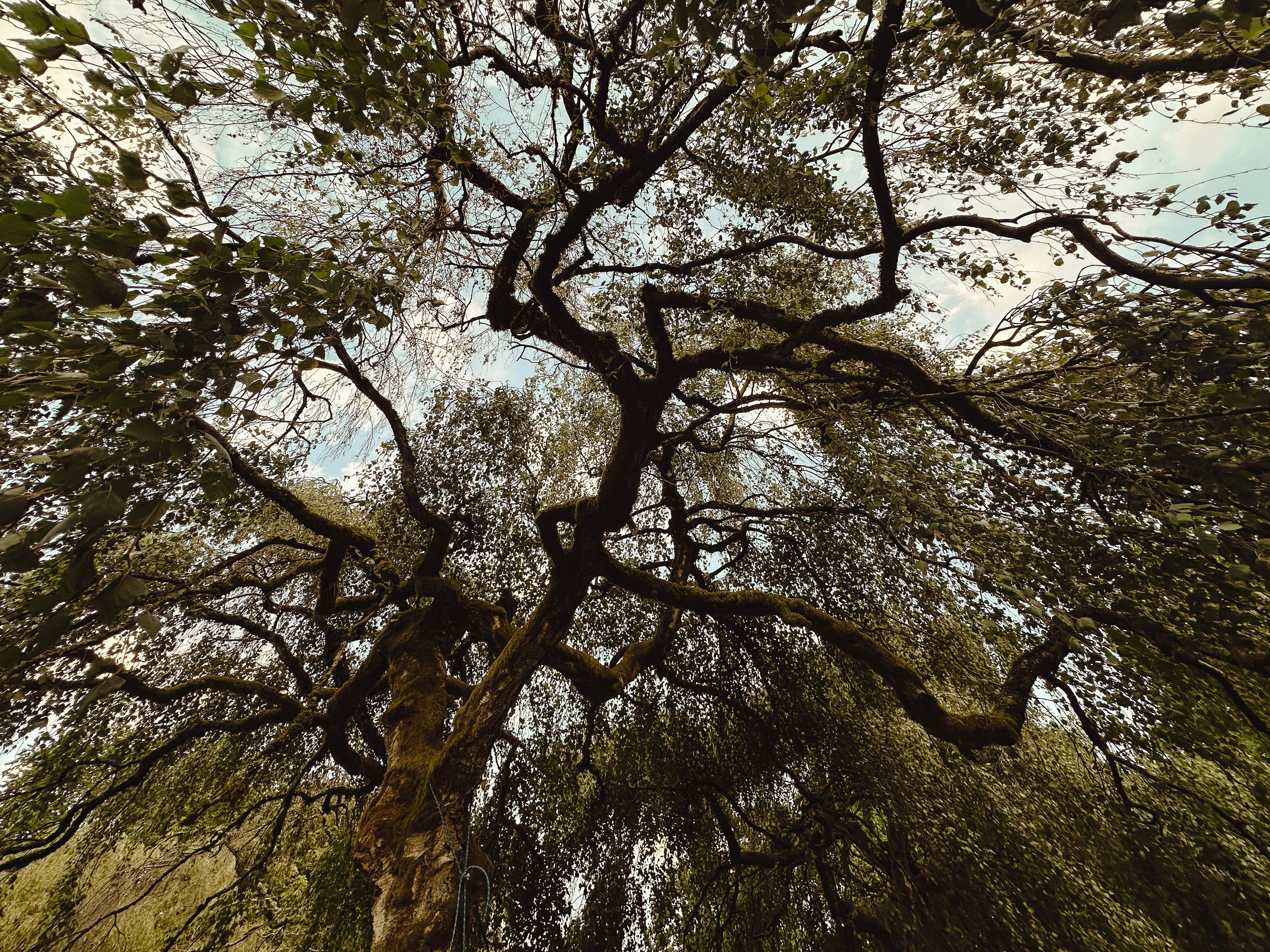 Anna’s Family. Yana Bobrova | Artistic Photography