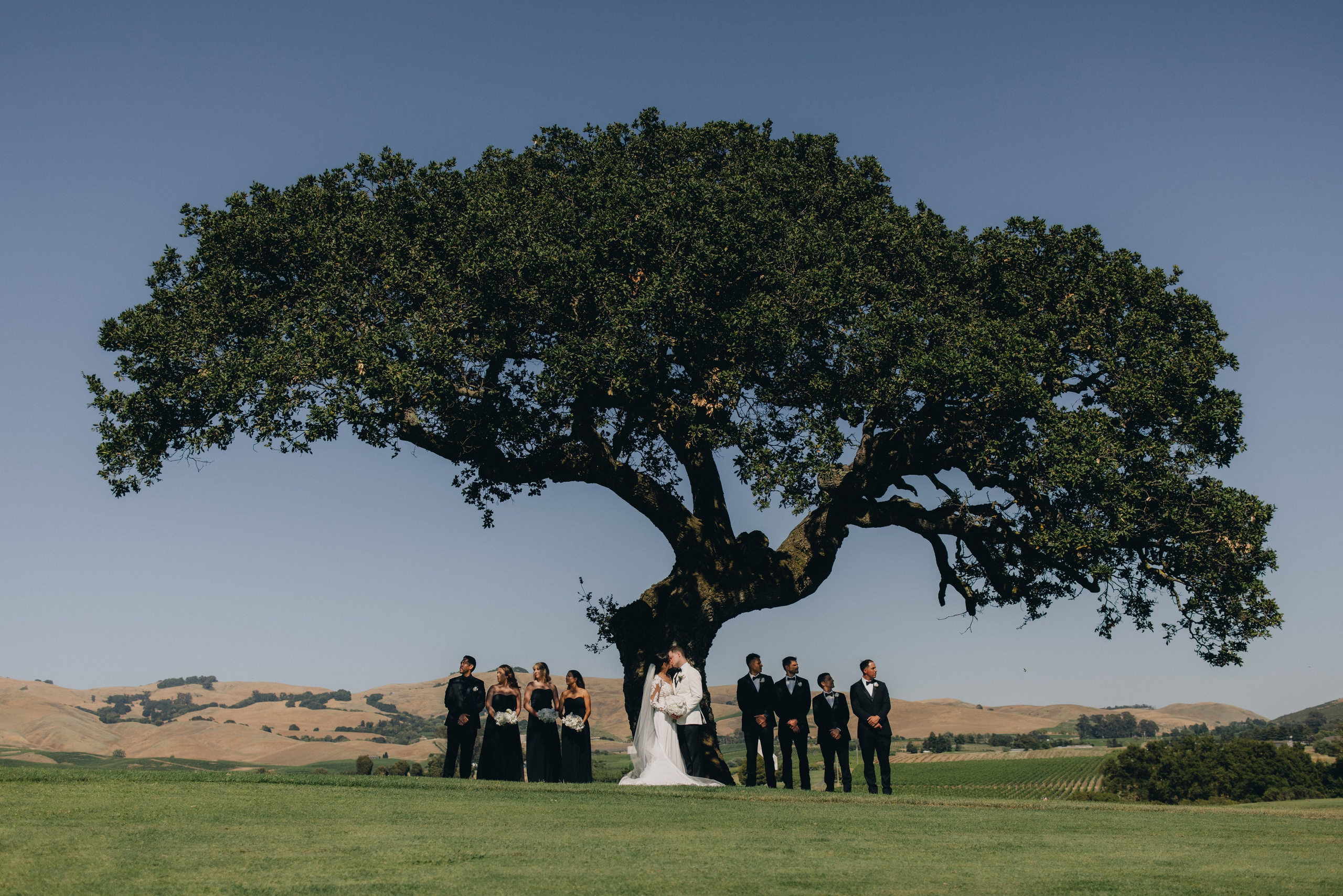 Coleman & Erenia Wedding in Napa | Georgy Shishkin Photography. Portland & Seattle Wedding, Elopement & Engagement Photographer | Georgy Shishkin