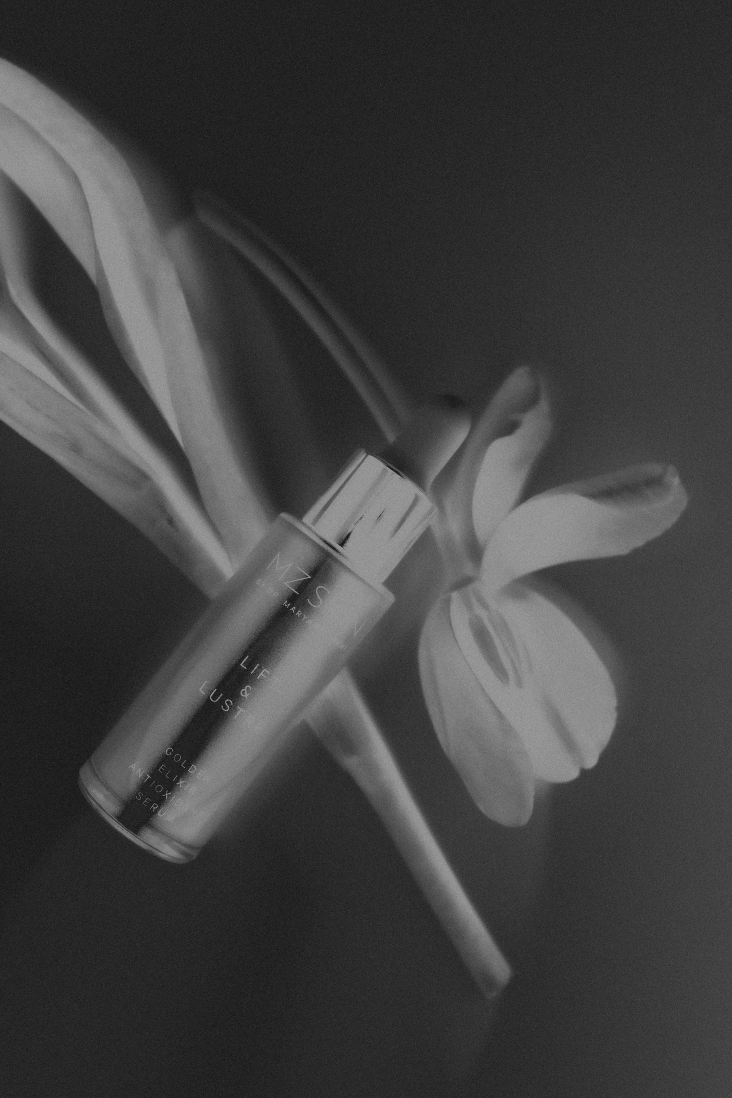 Photography in Singapore