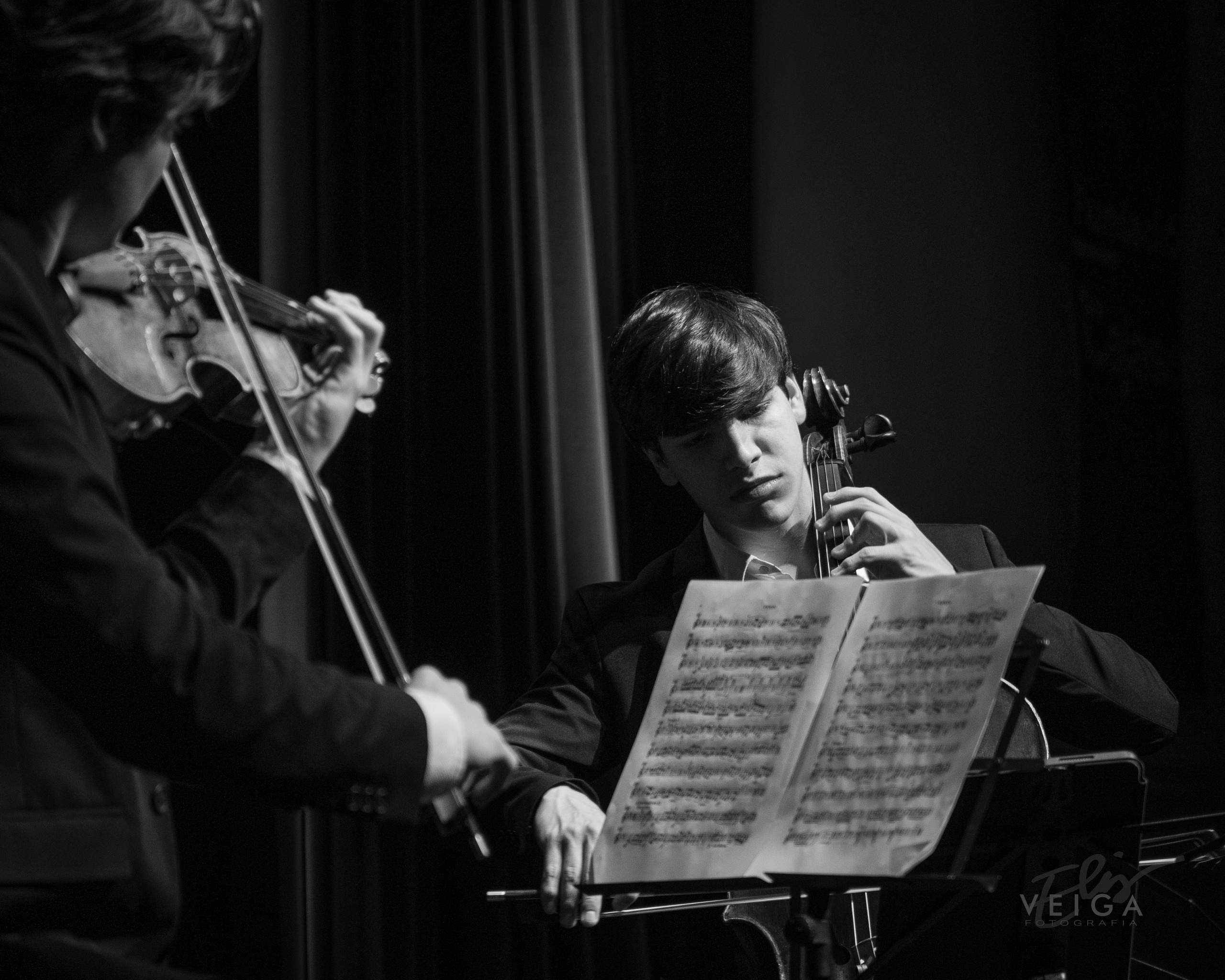 Conciertos_Clasica_Cust. Elisveiga