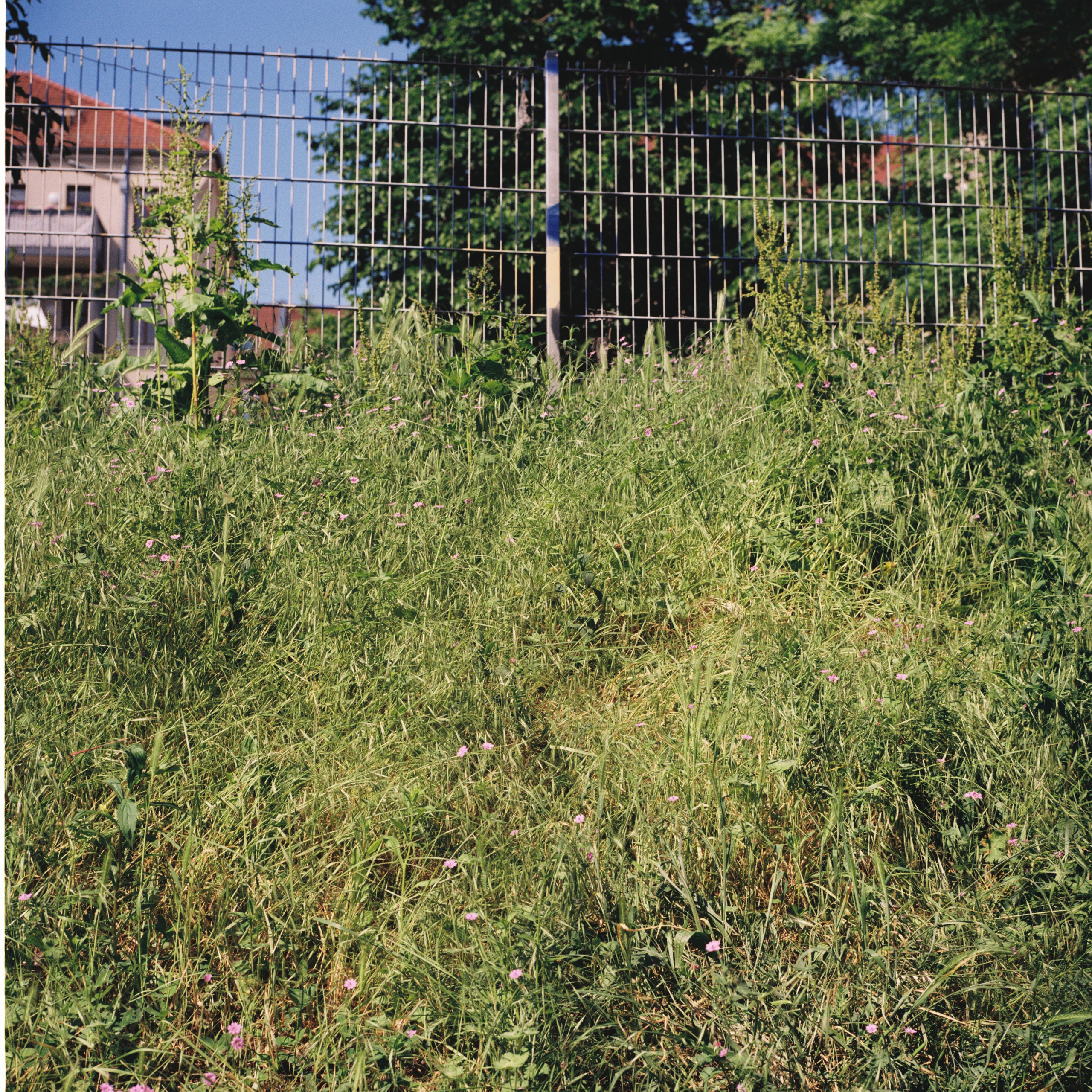 Backyard culture of the Eisenbahnstraße. Anastasia Musinova