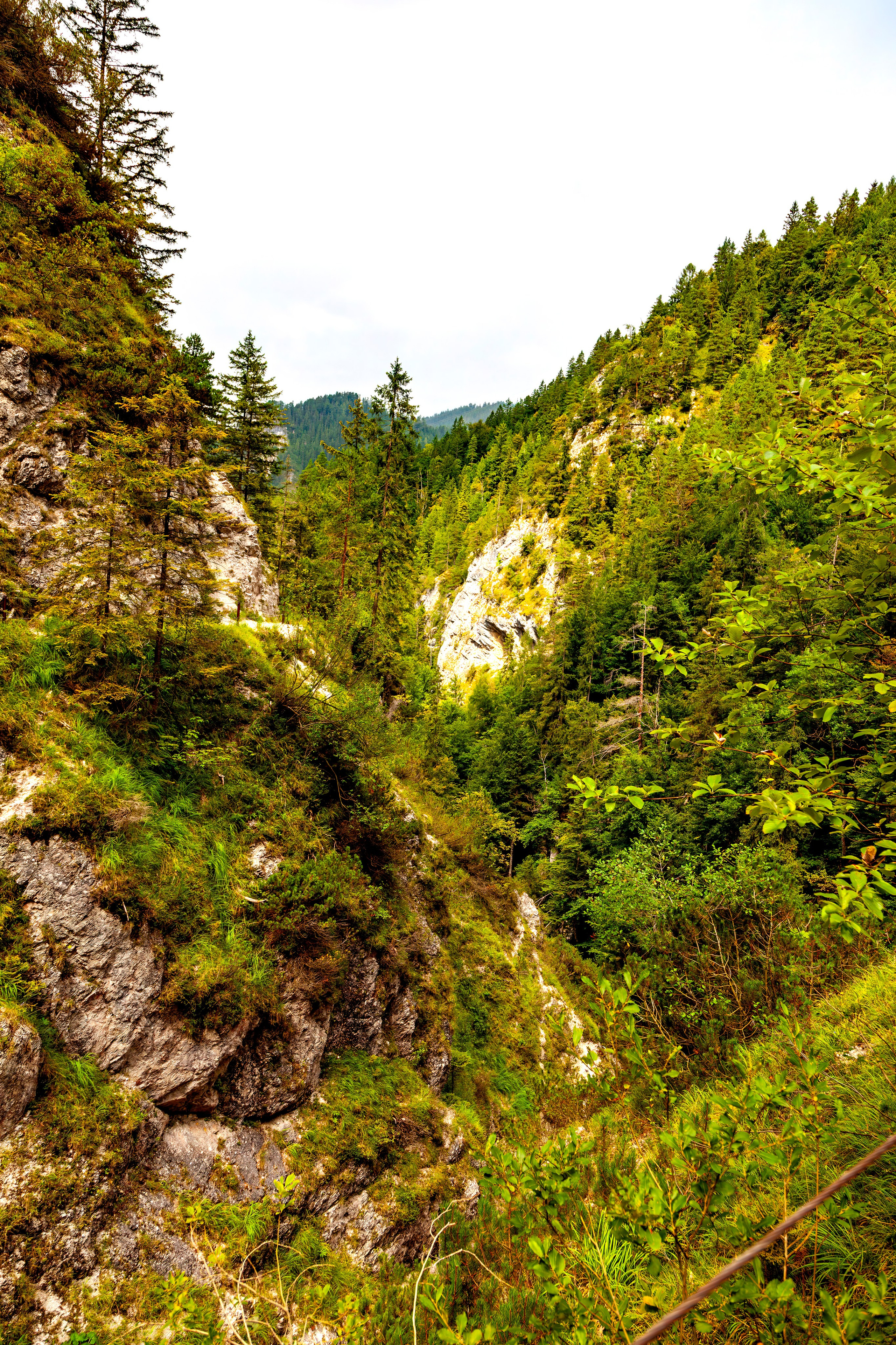 197.Ötscher Base Nature Park.Austria.21.8.2025. Путешествия в формате 360......
