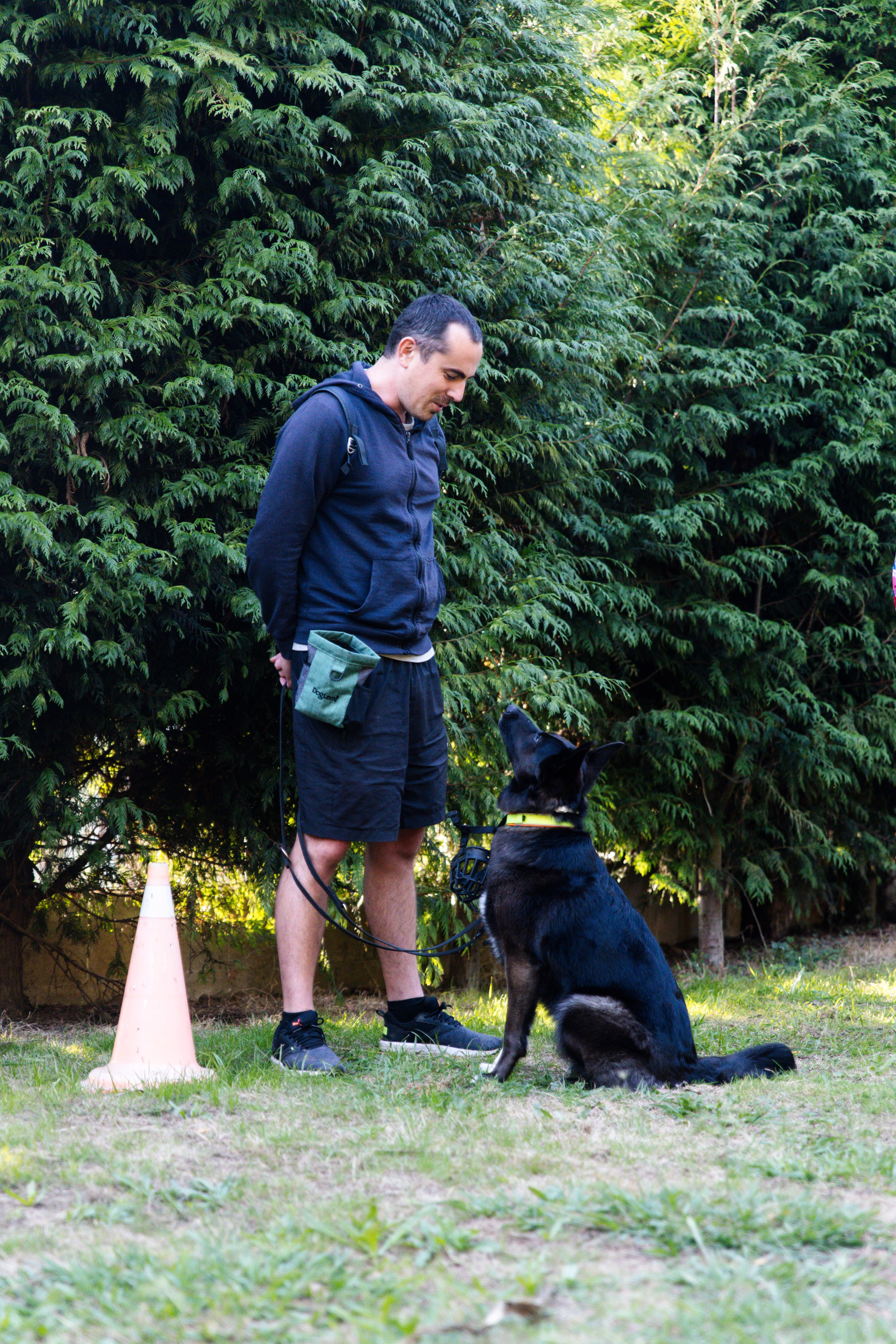 Sesiones fotográficas a mascotas. RabelByCris Fotógrafa en Coruña de Eventos, sesiones, mascotas