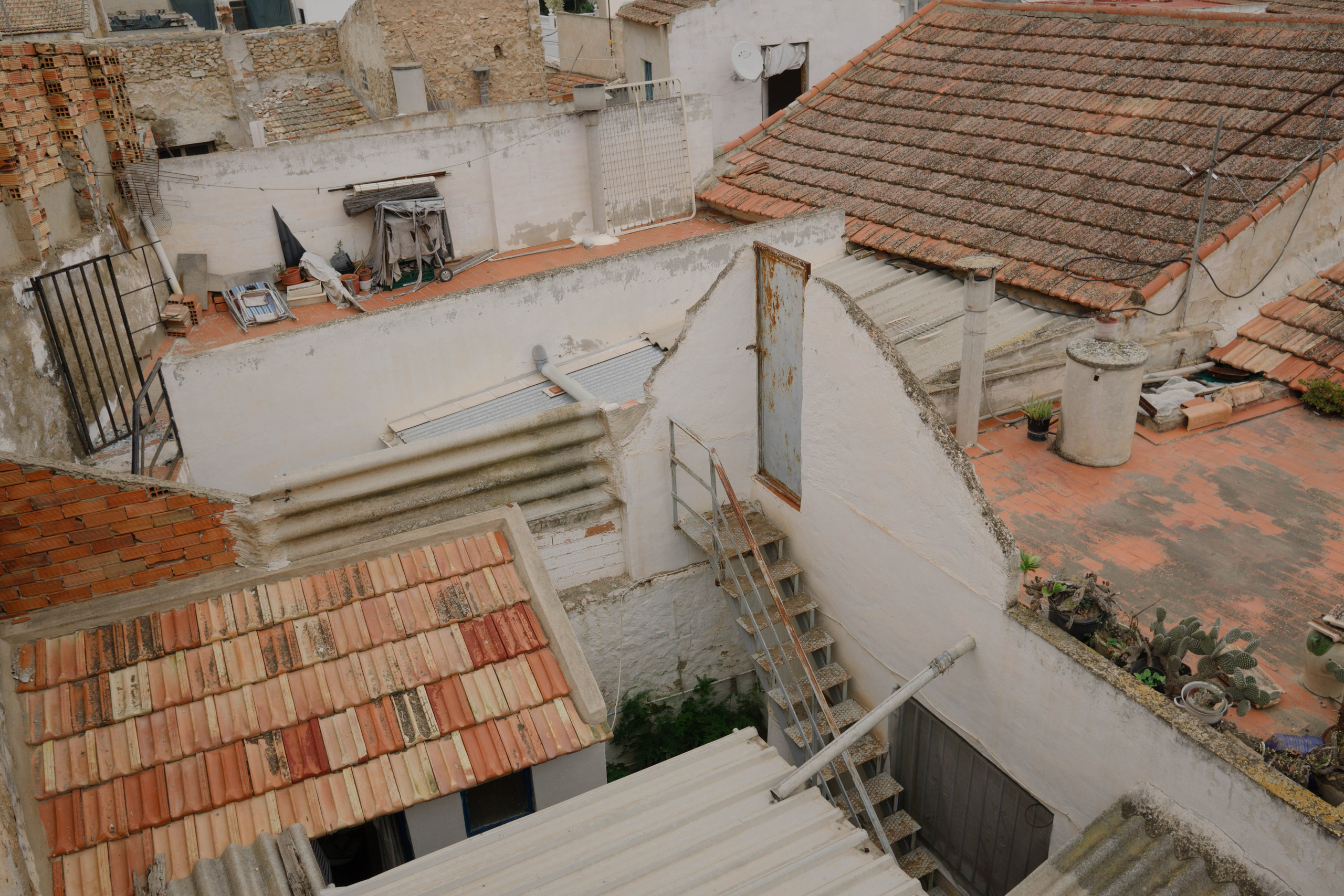 Rojales. Alba del Norte Studio