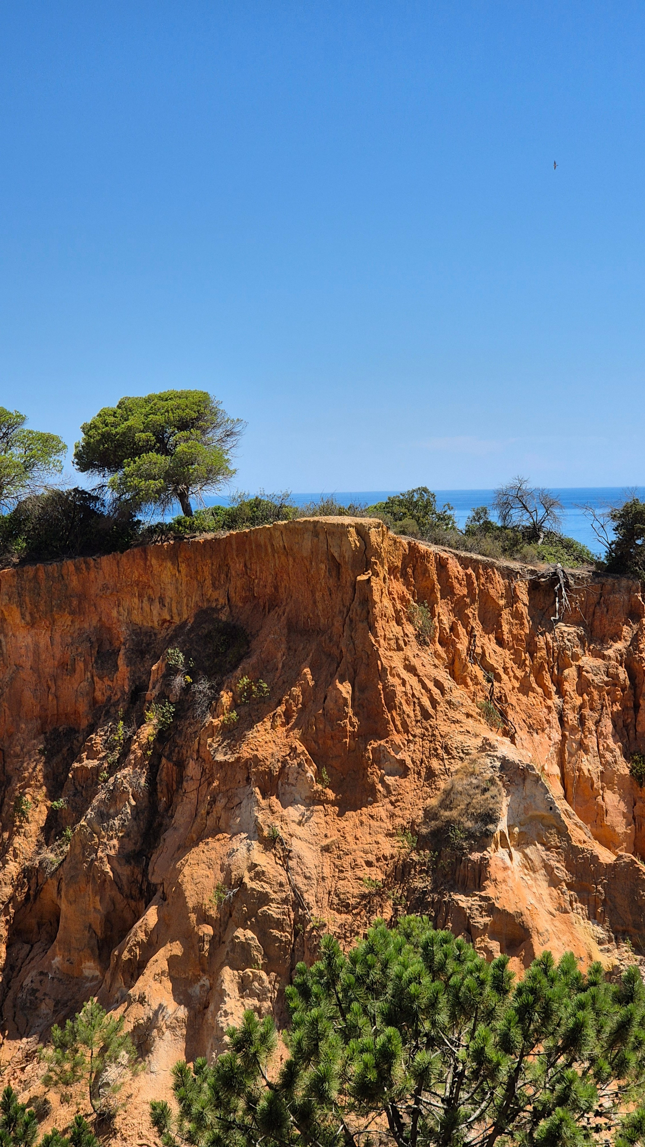 Portugal 2024. Марина фотограф из Нюрнберга